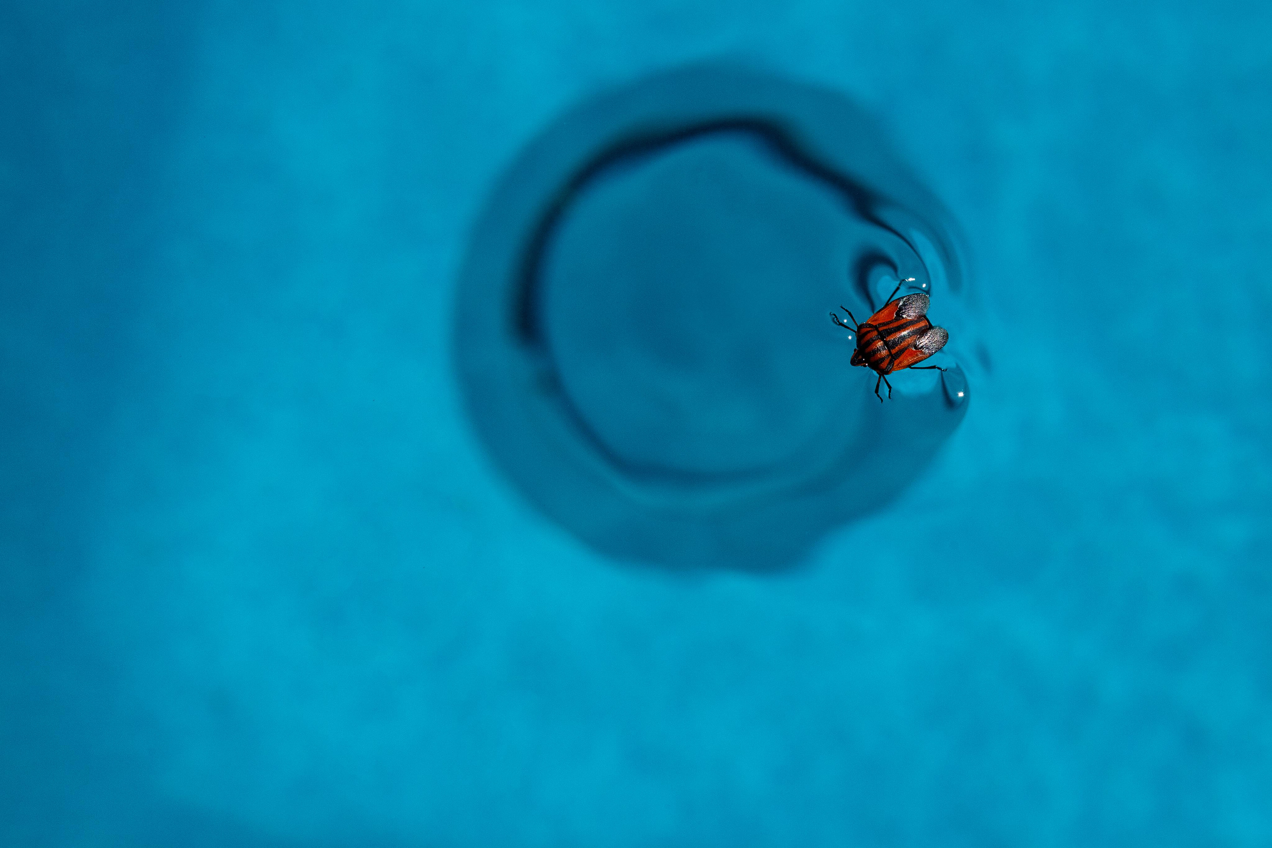 Фотосъёмка бассейнов. Алексей Шмуль