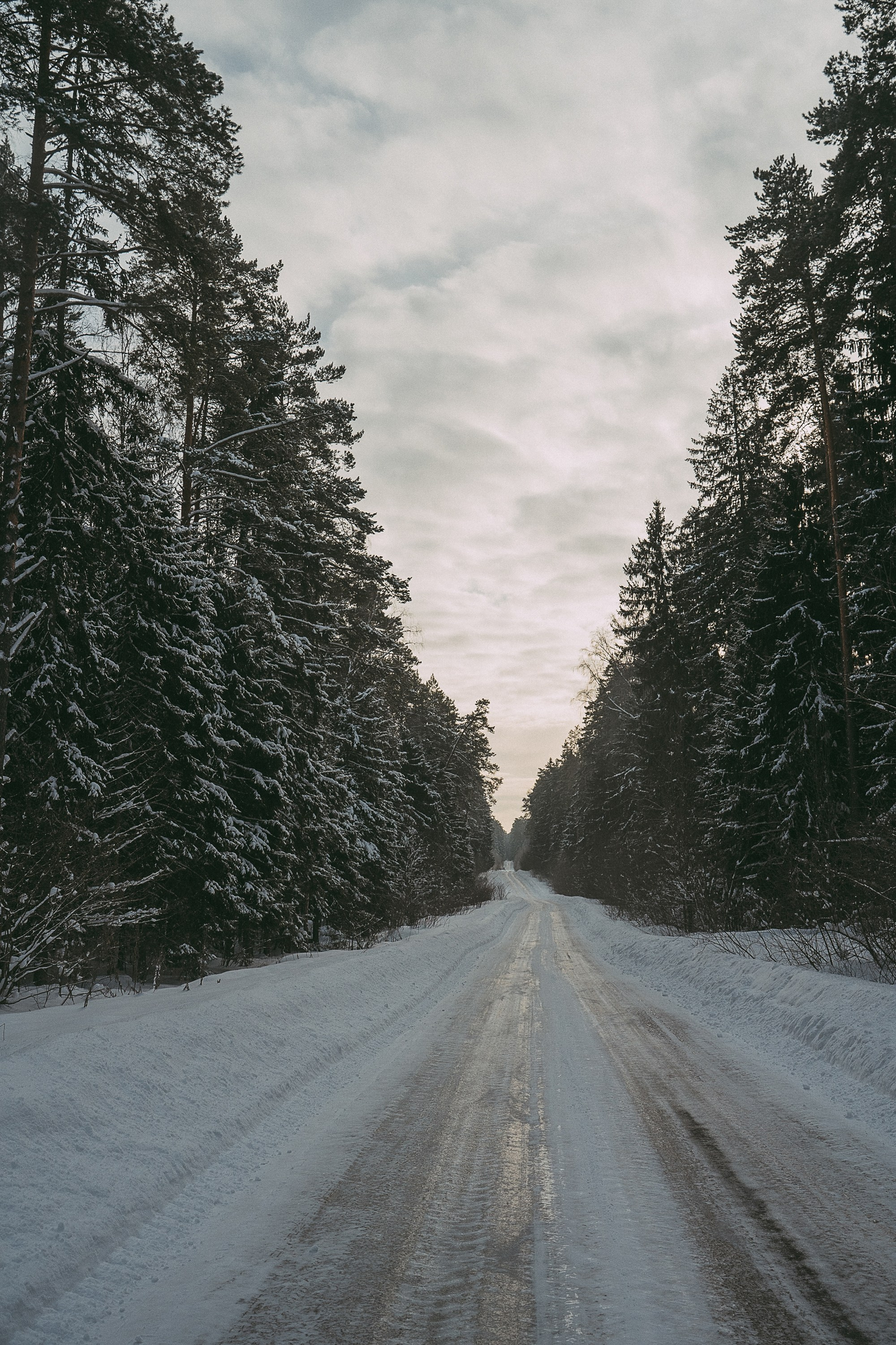 Полина, Уго и Пышка. Фотограф анималист в Москве и Санкт-Петербурге Свиридова Анна