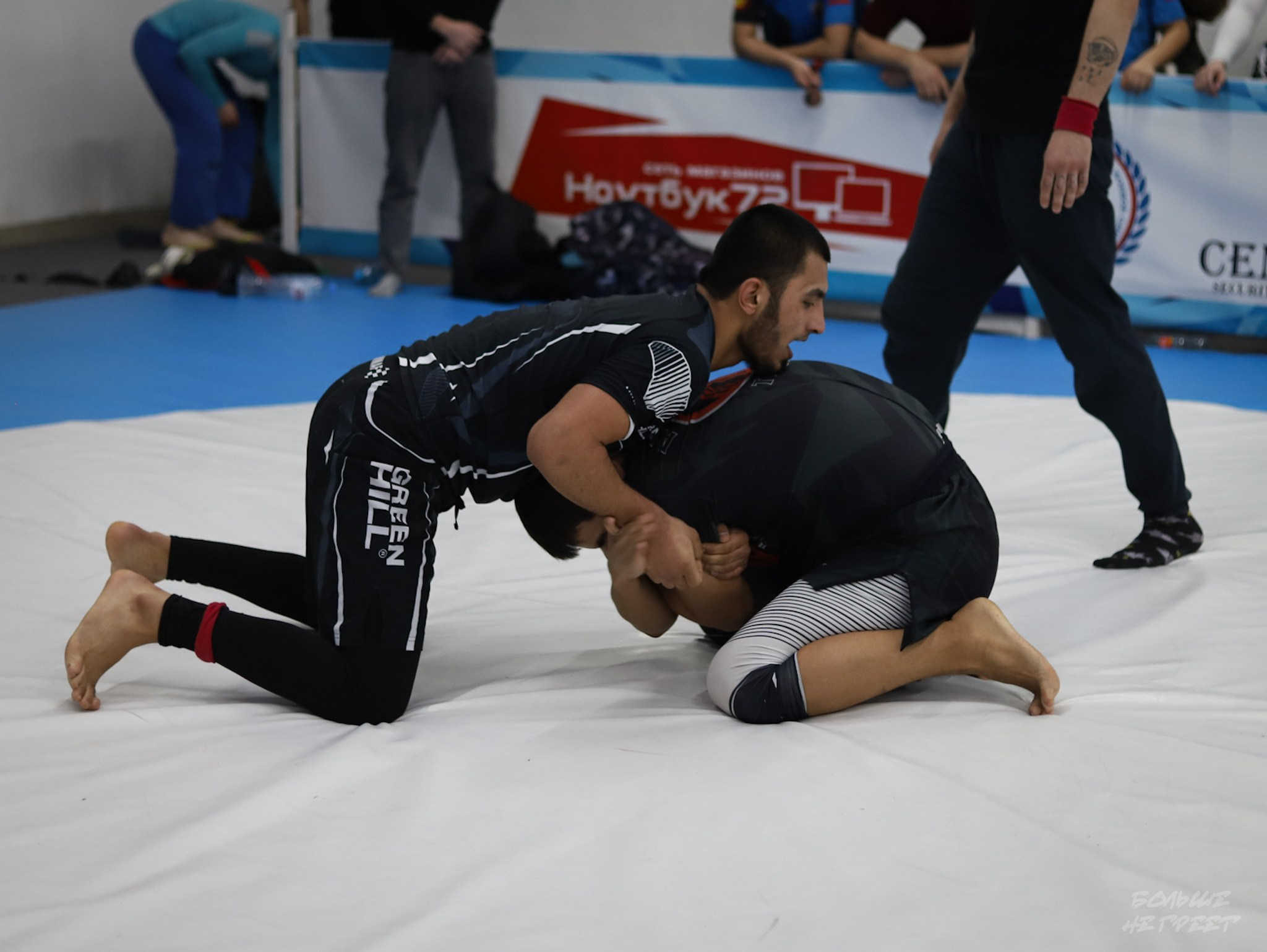 GORILLA PRIDE CUP. Больше не греет