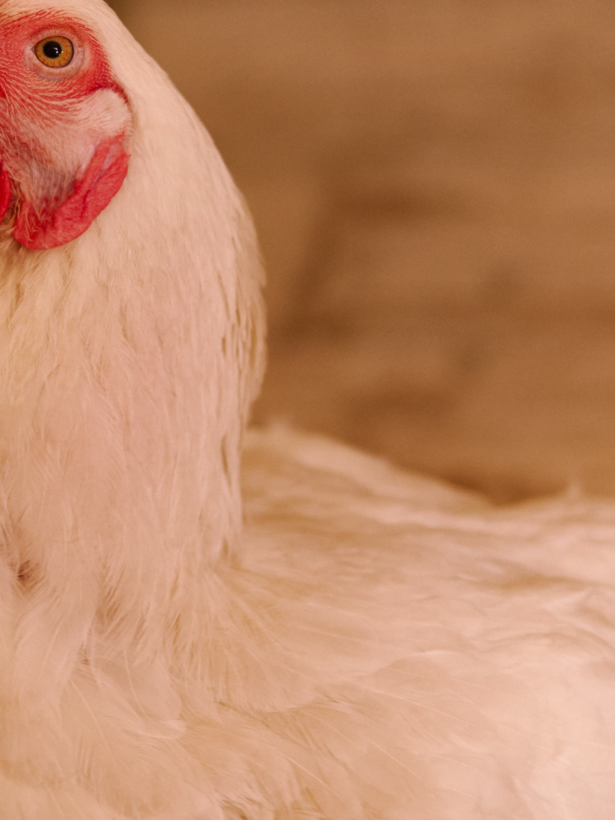 Другое 2. Jorgis Talè — photographer, kind person, teacher of arts and other mag