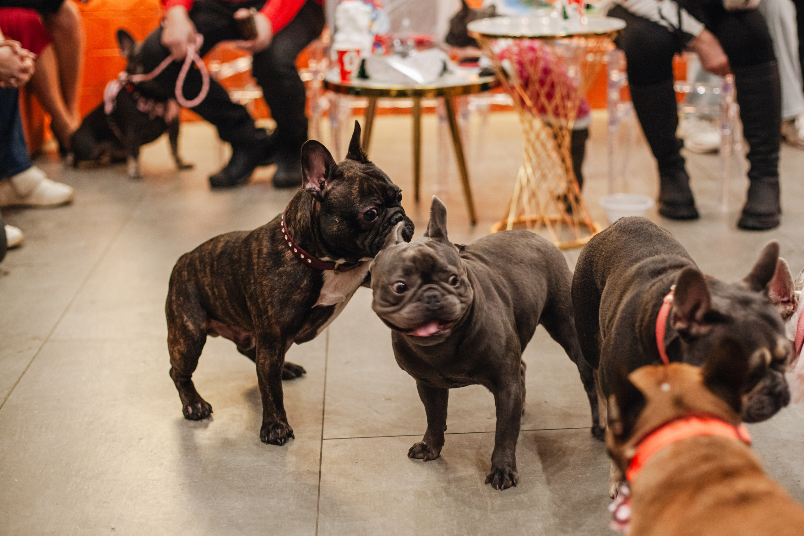 Бульёлка 2024. Фотограф-анималист Татьяна Степанова