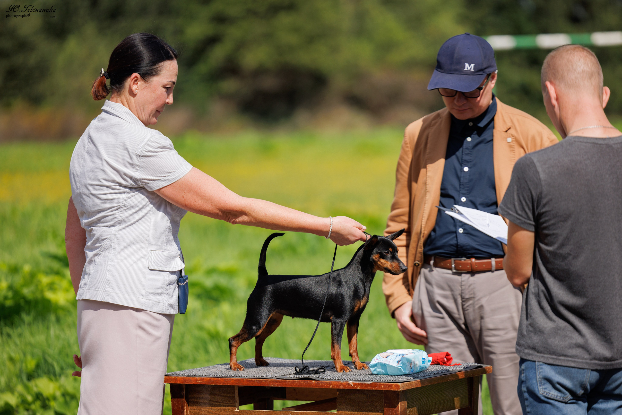 Тверь 10.08.2025. Фотограф-анималист Юлия Германика