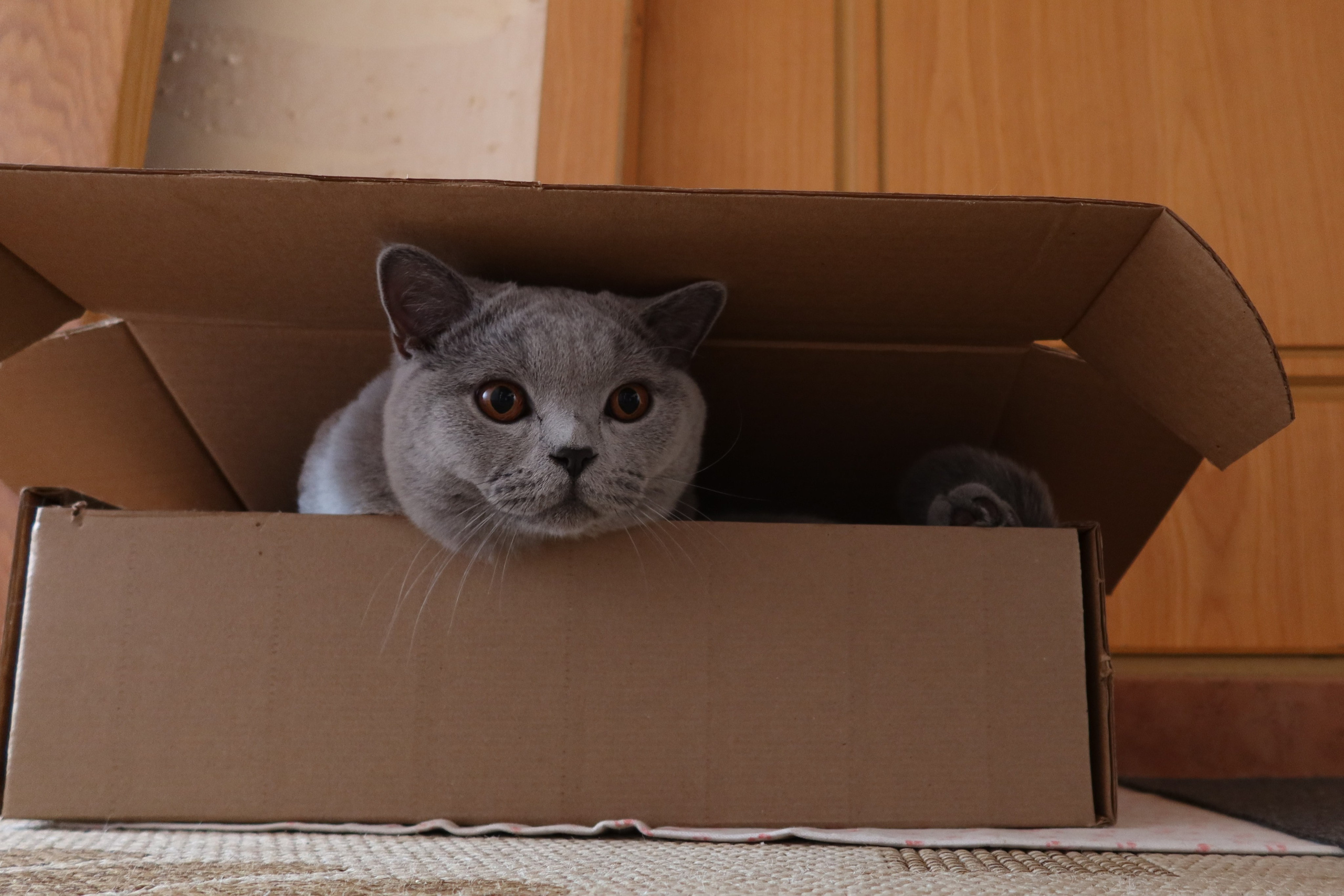 Улица, люди, жизнь…