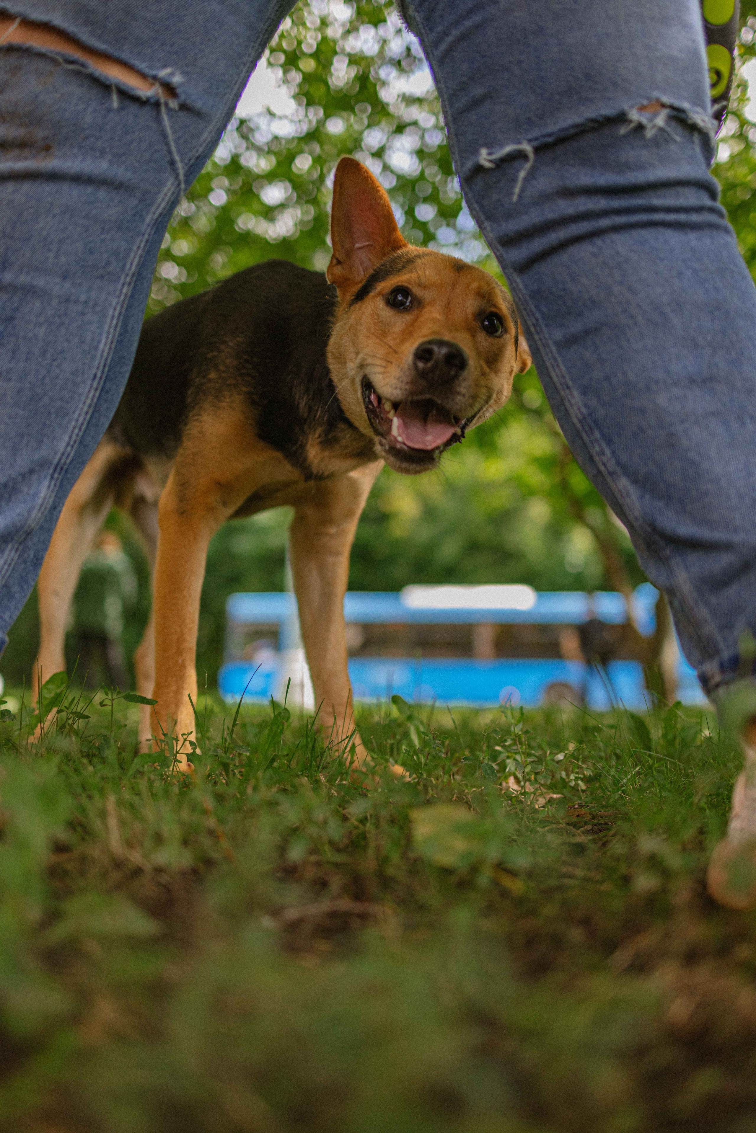 Джеки. Фотограф-анималист в Москве Лера Черноног