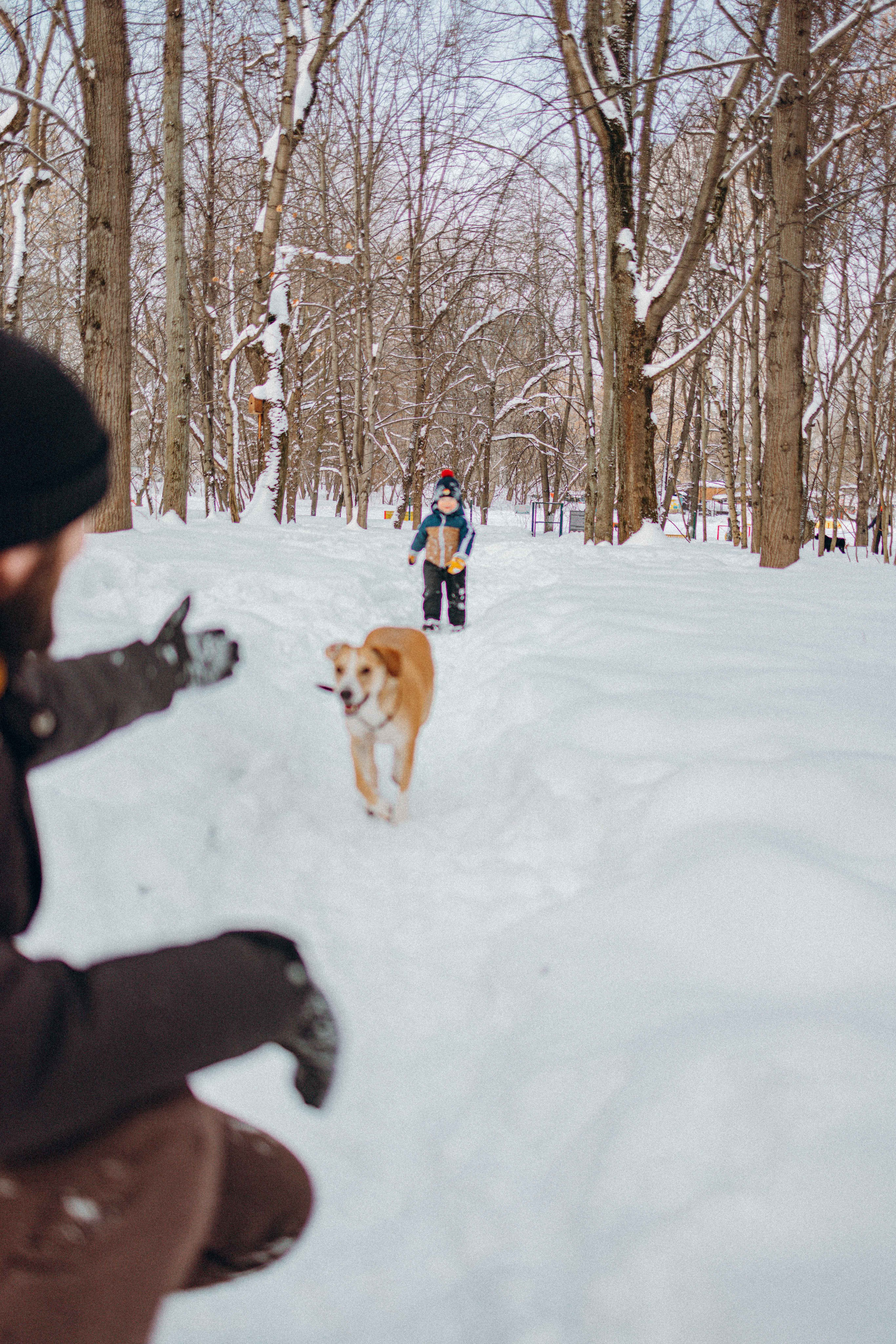 Свобода и ее семья. Фотограф-анималист в Москве Лера Черноног