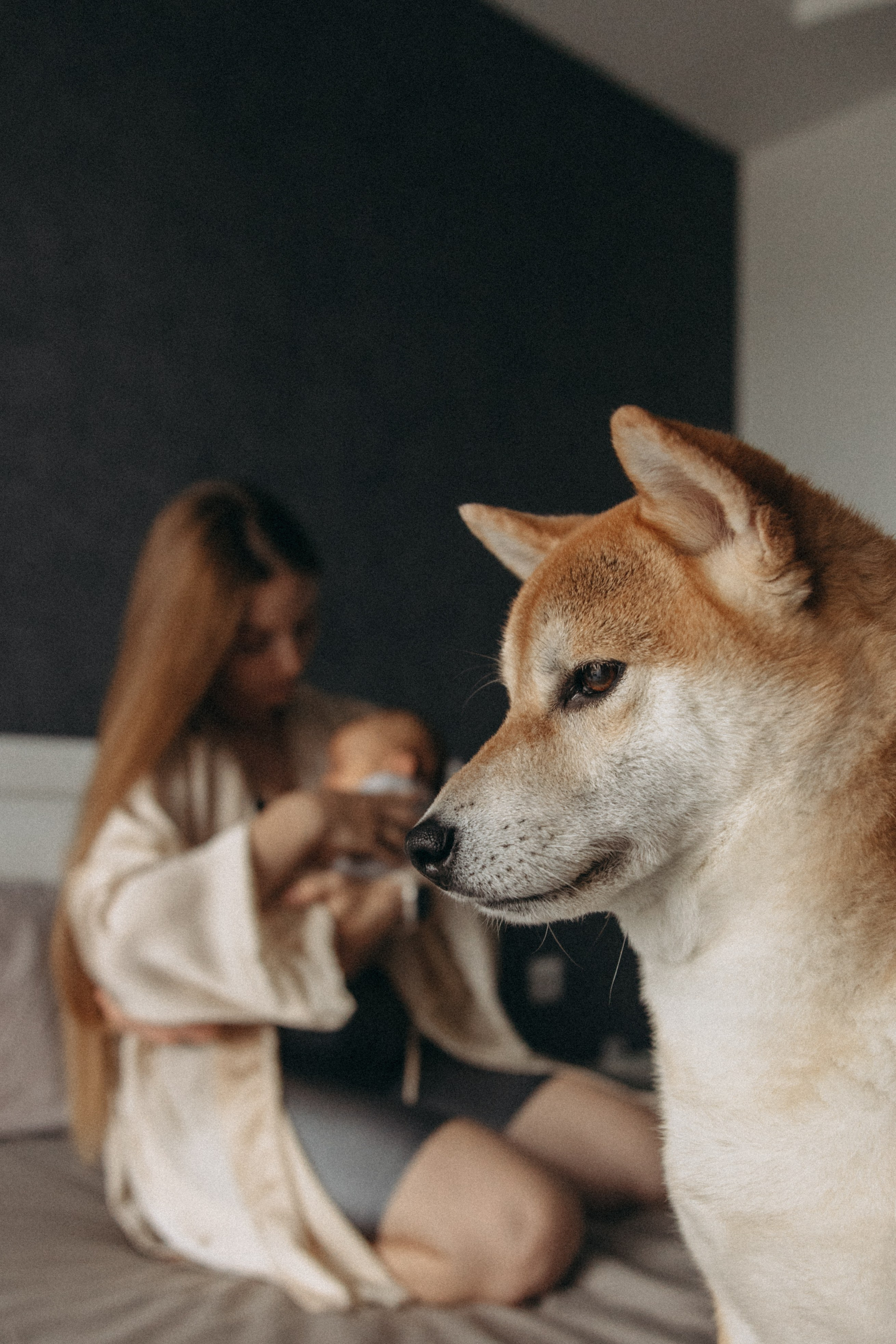 Виктория, Алексей и Андрюша. Семейный фотограф Земскова Евгения