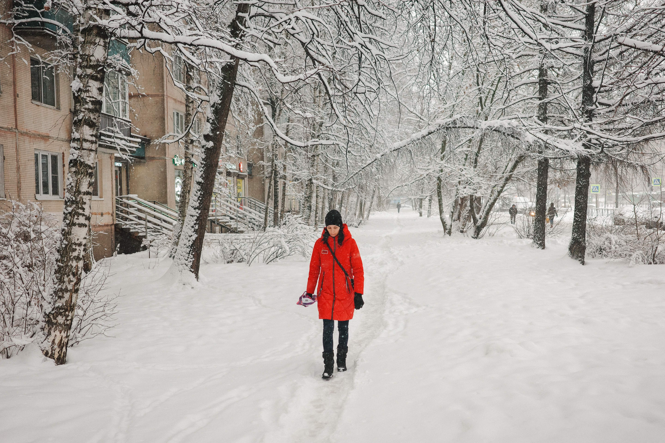 2025.01. Фотограф Алексей Алексеев