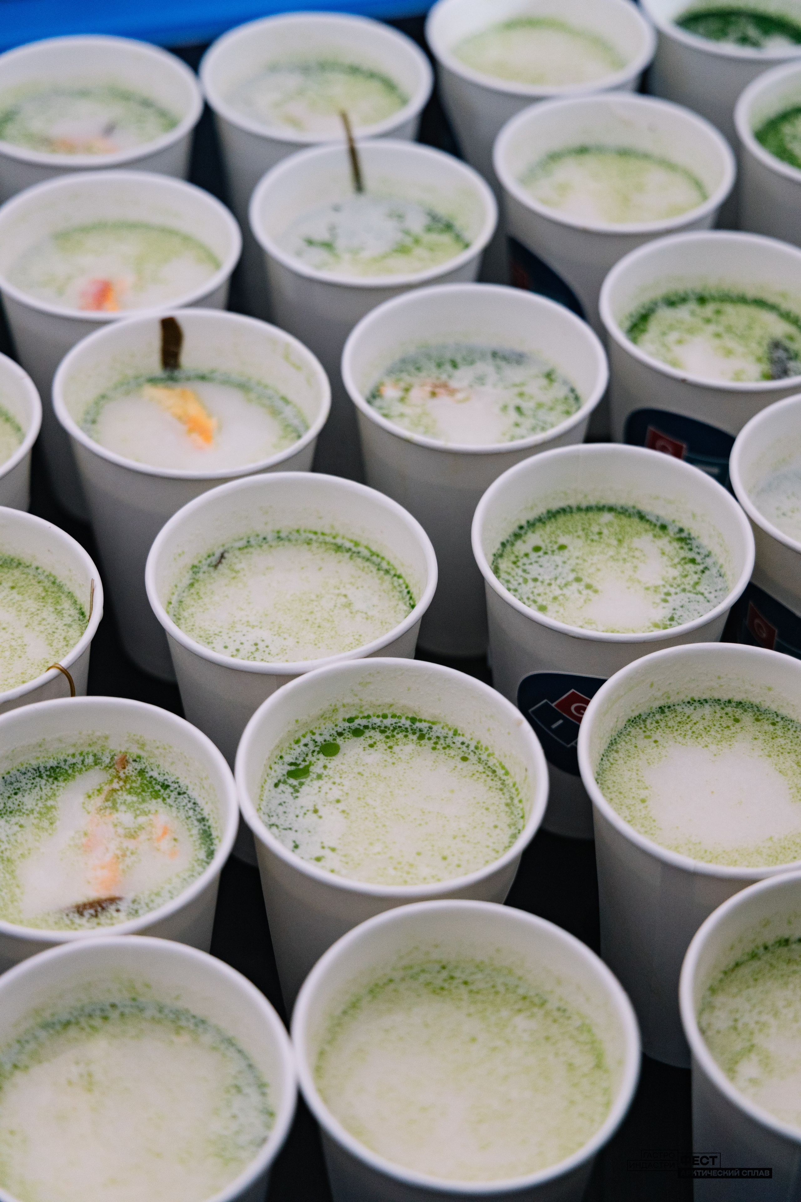 Gastro Industry Fest 2025. Репортажный фотограф в Мурманской области