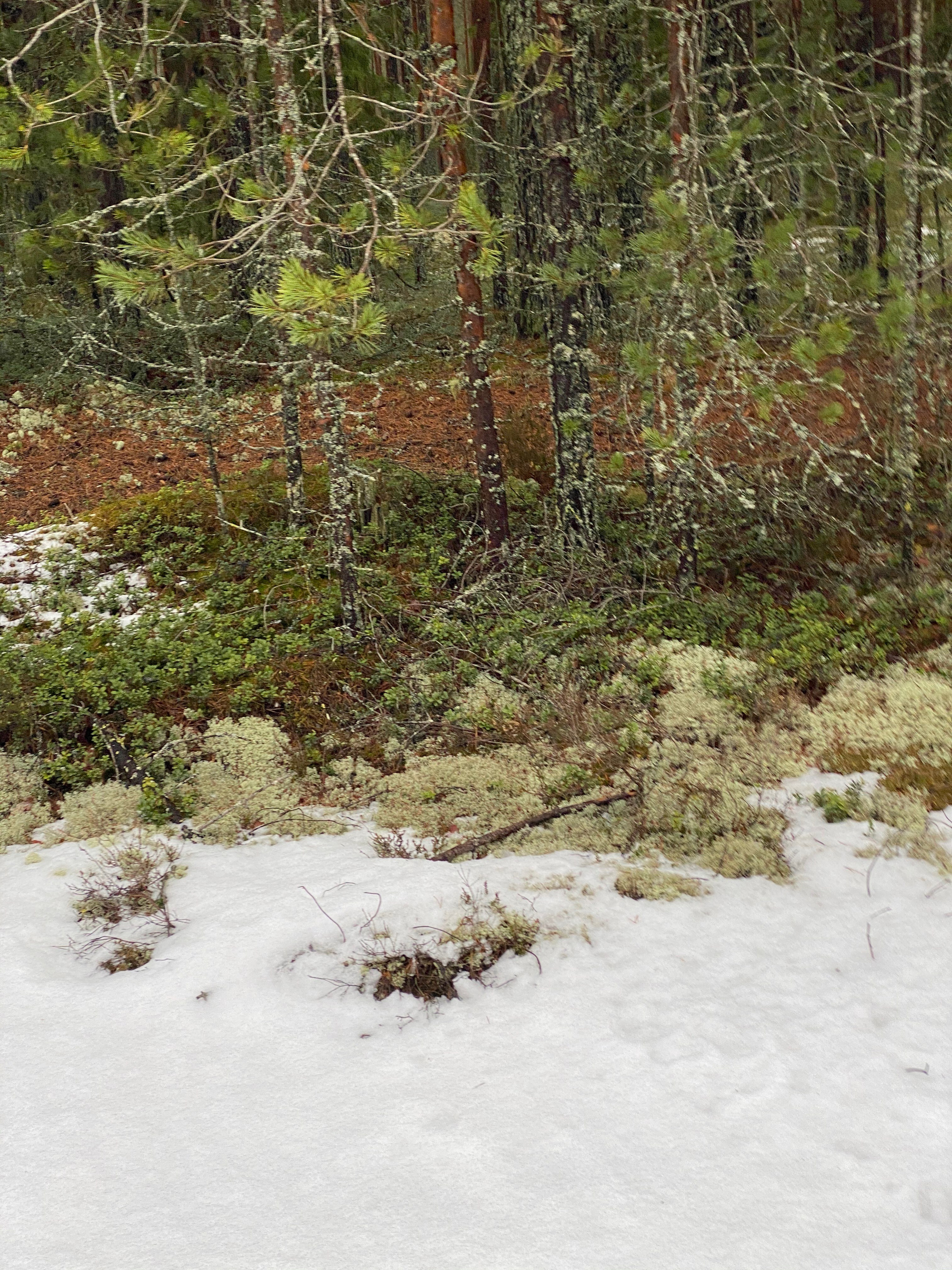 Вокруг Селигера-20. Своя Мастерская