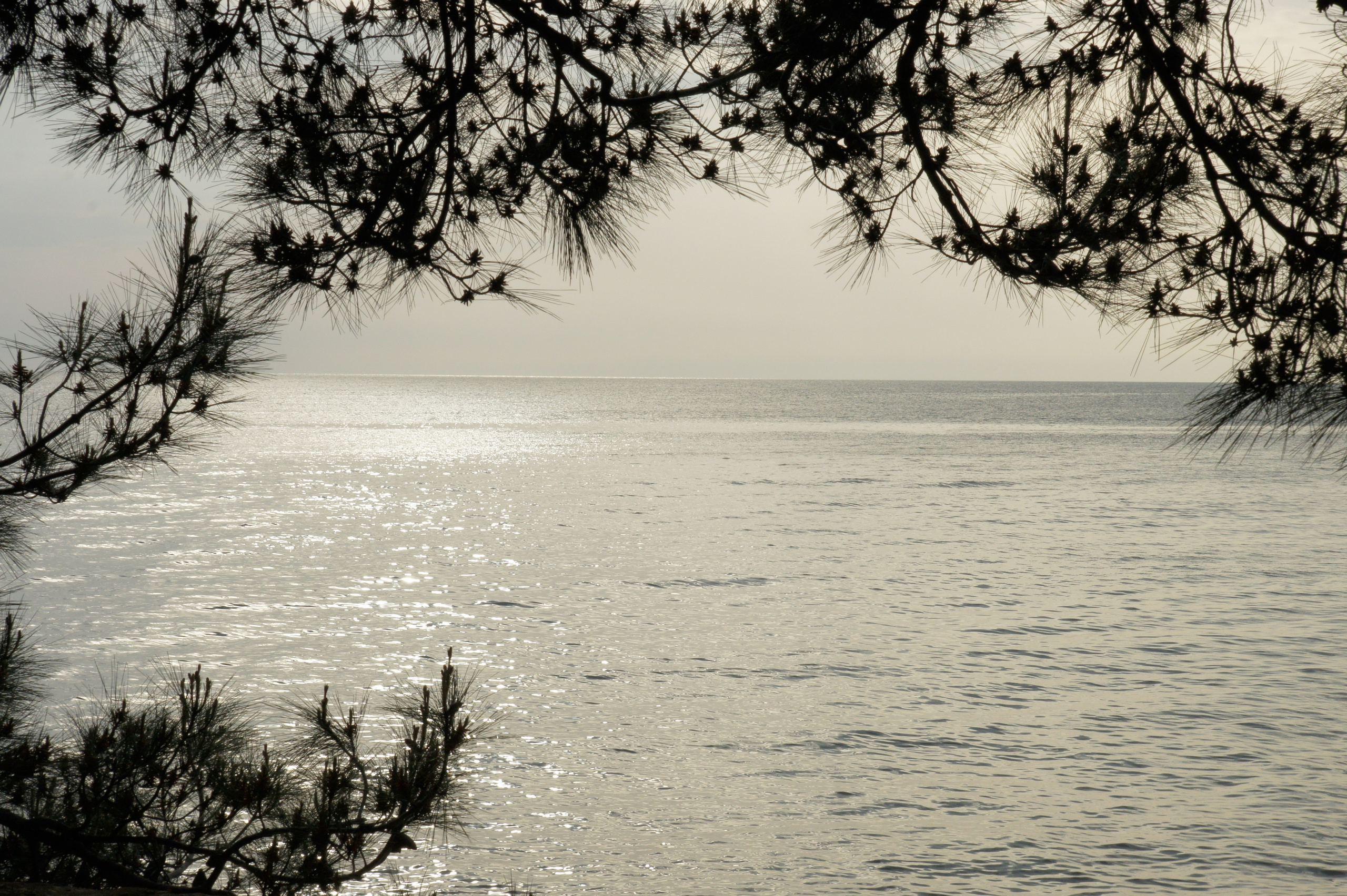 Хорватия. Главная