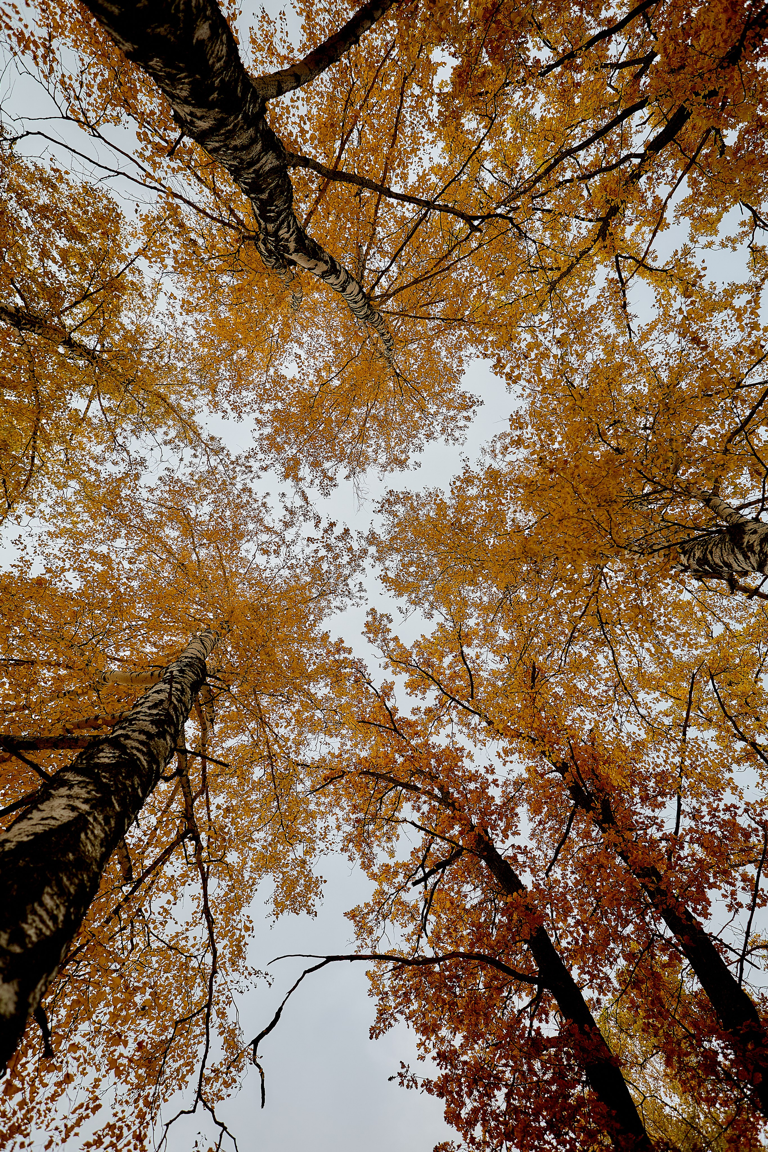 Фотографии природы