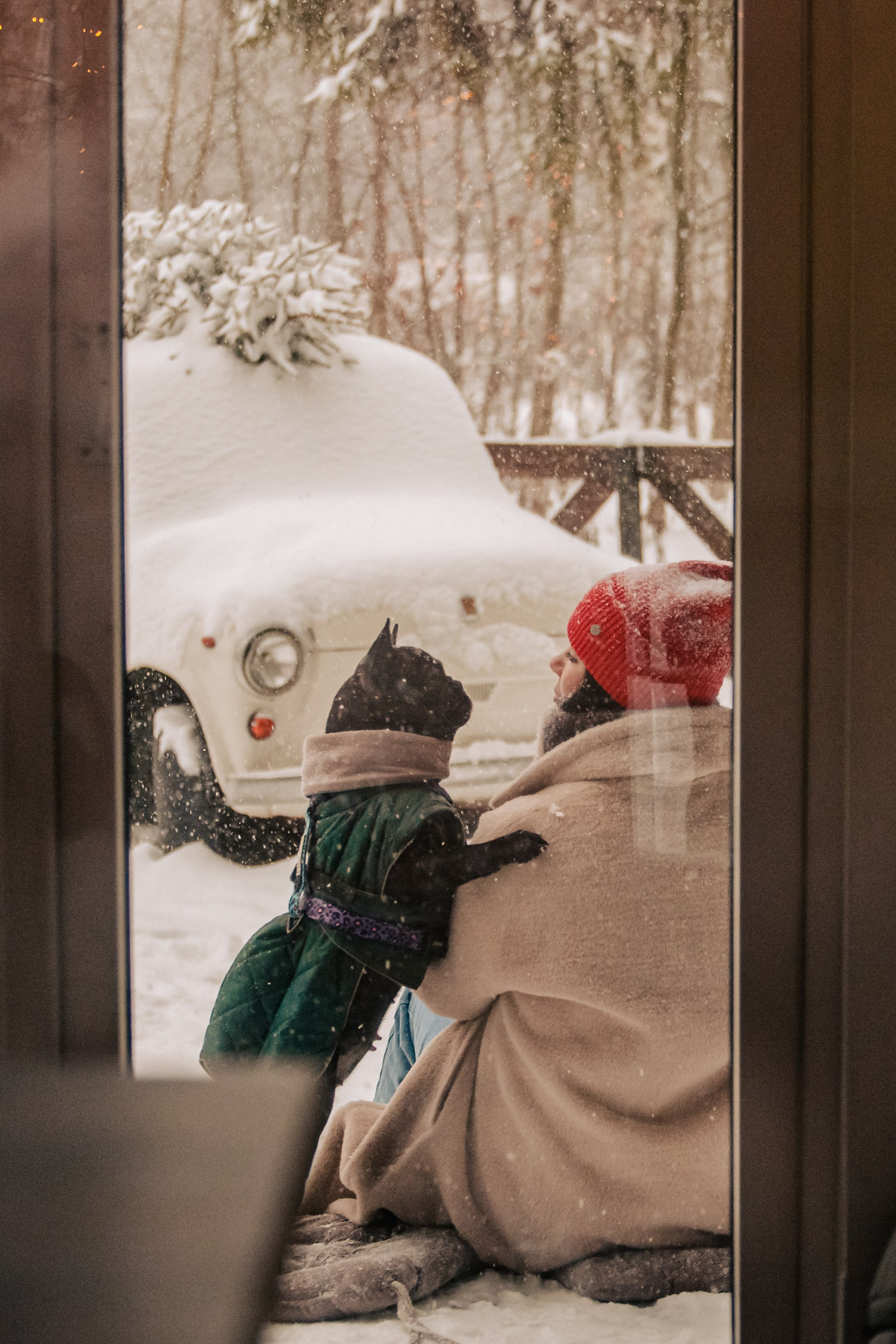 Кантри Хаус. Фотограф-анималист Татьяна Степанова