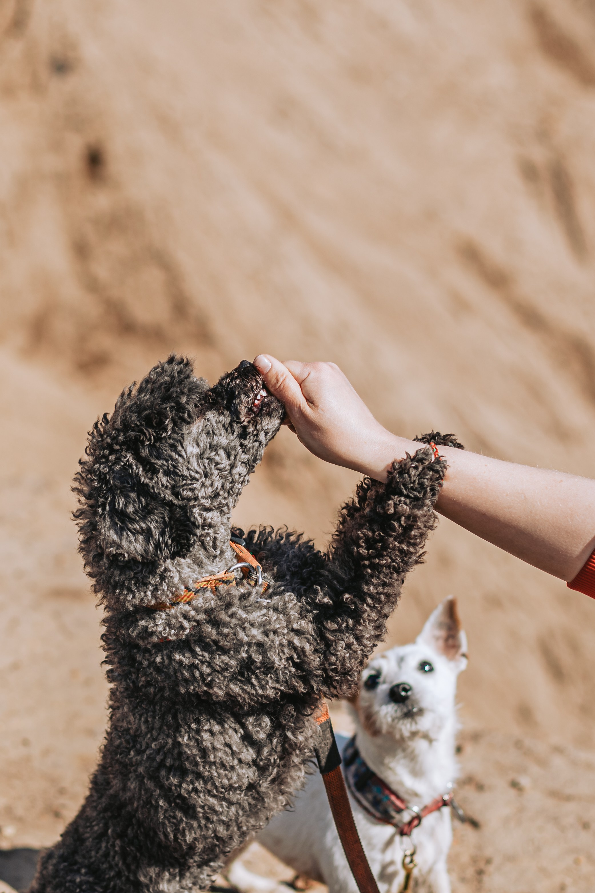 Кондуки. Фотограф-анималист Татьяна Степанова