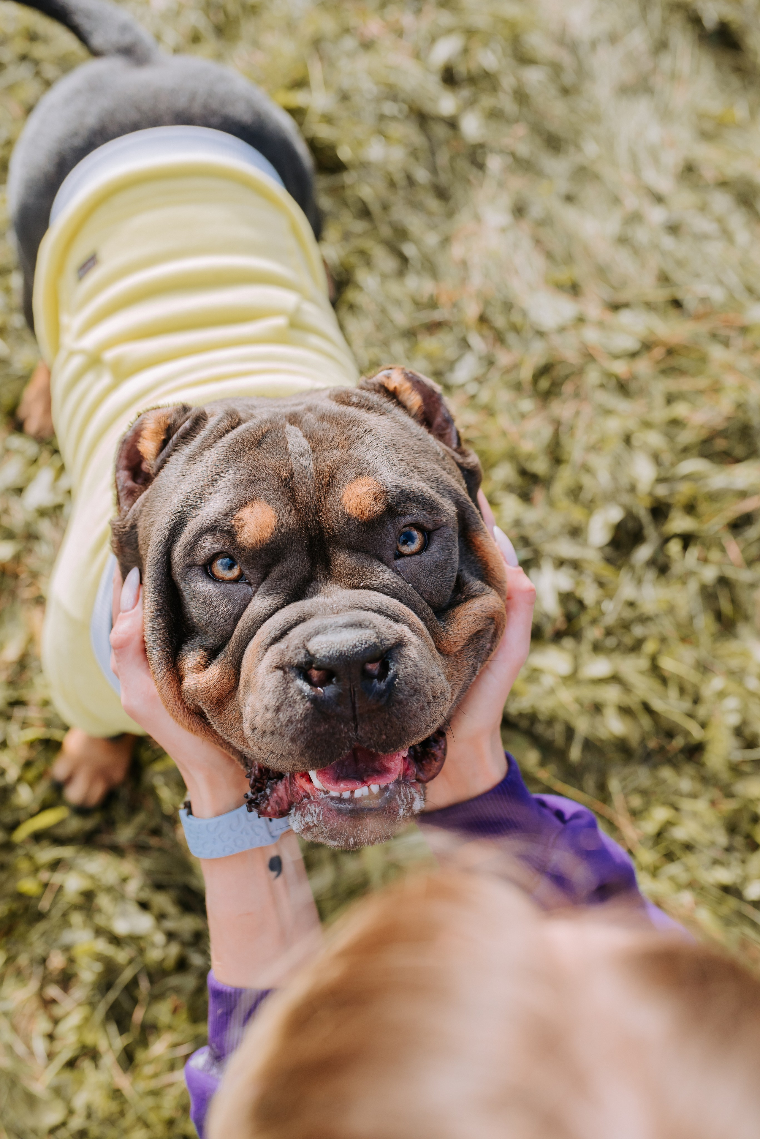 Фотопрогулка с питомцами. Фотограф Диана Оленина Красноярск / Братск