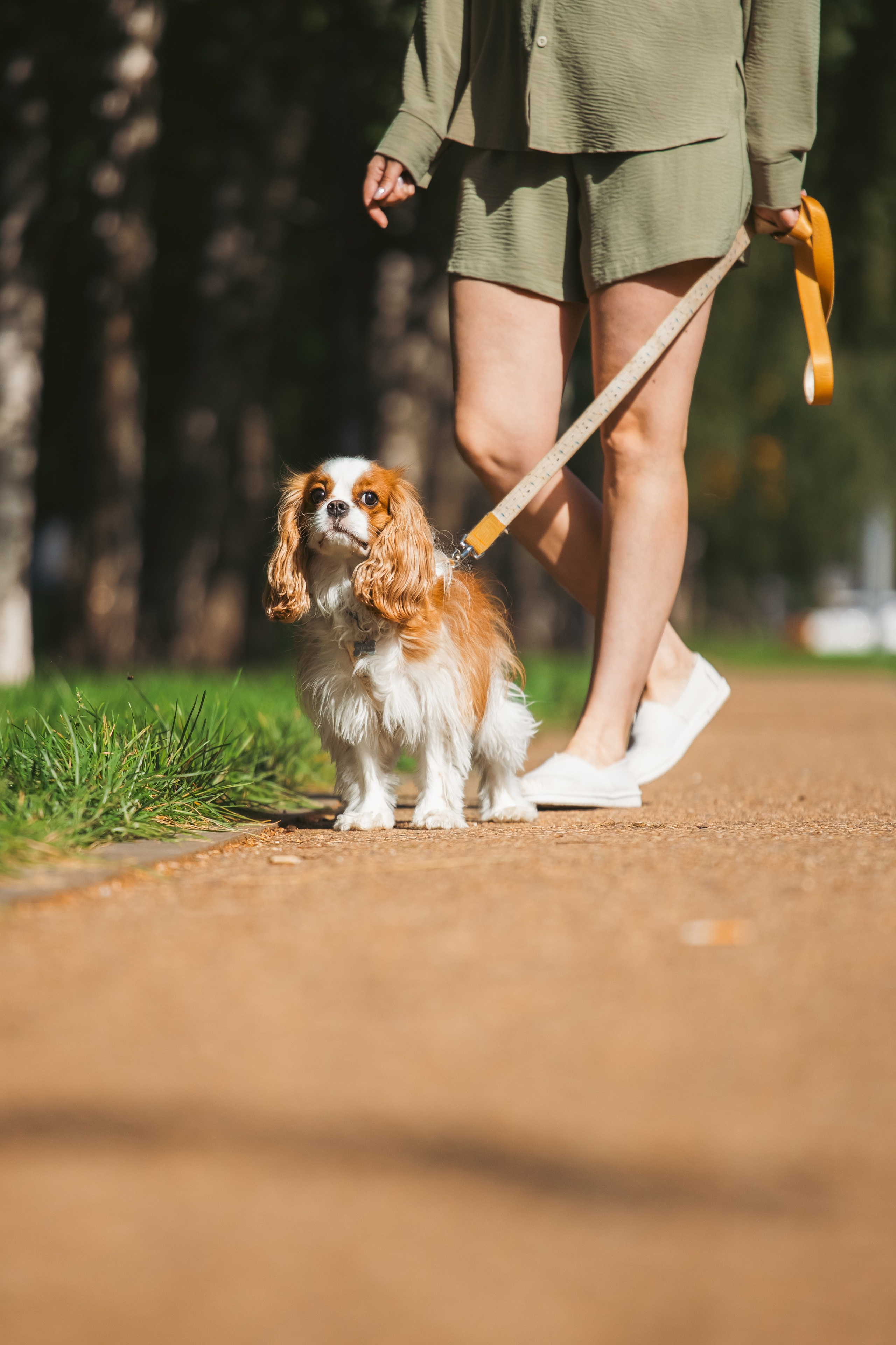 Фотопрогулка на бульваре. Фотограф-анималист Татьяна Степанова