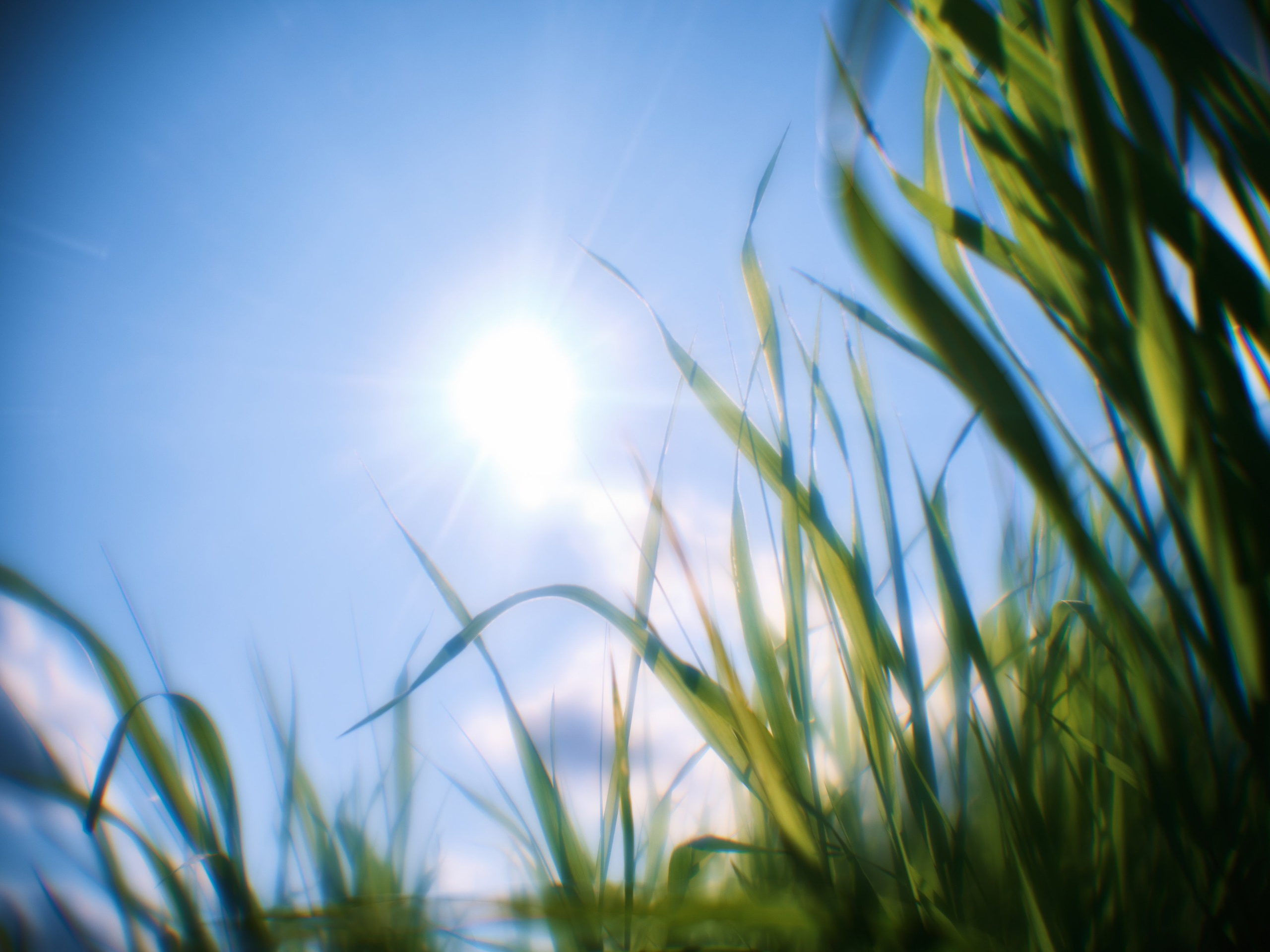 Фотограф Юлия Глазкова