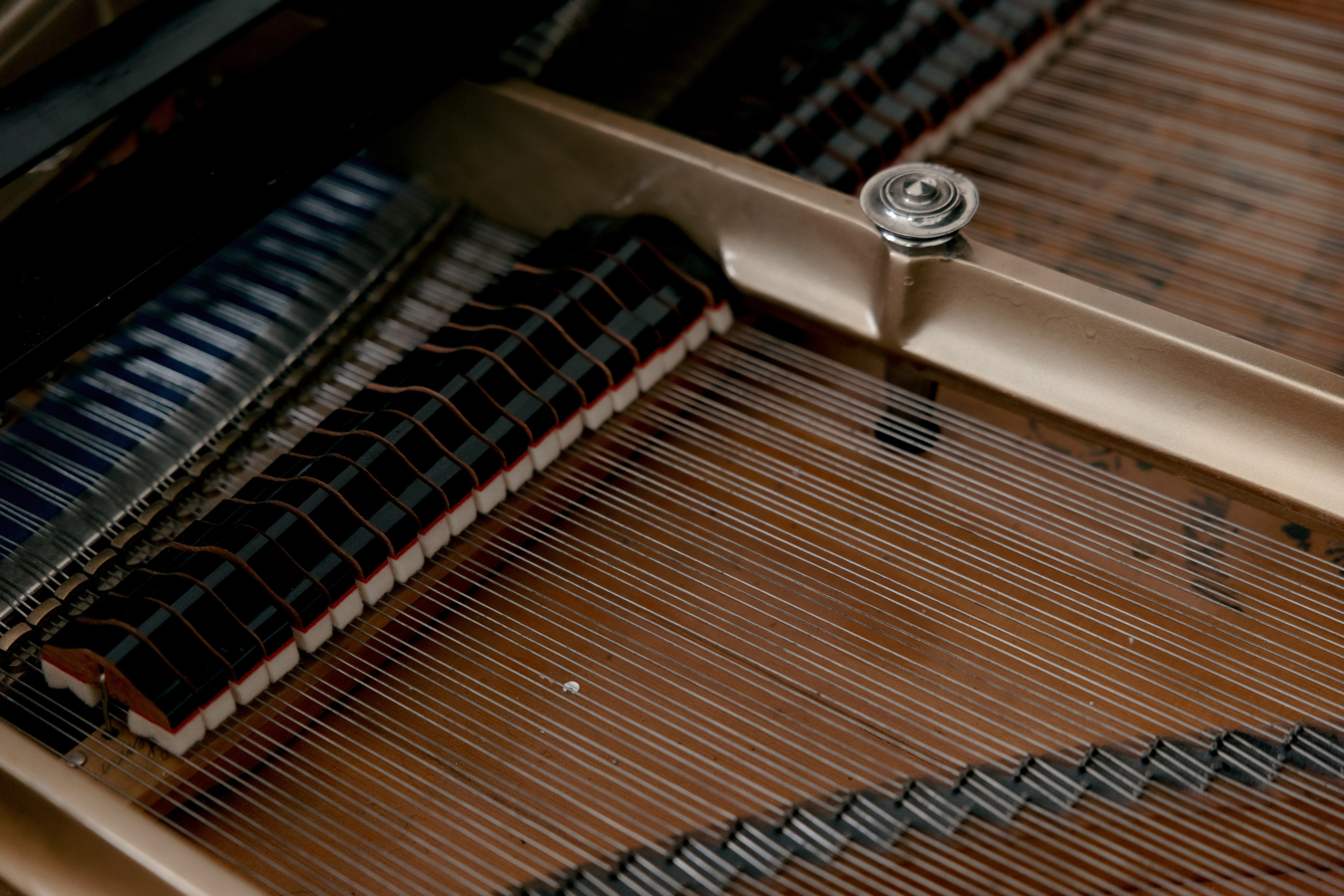 Азиз и Нелля. Свадебный фотограф в Астрахани