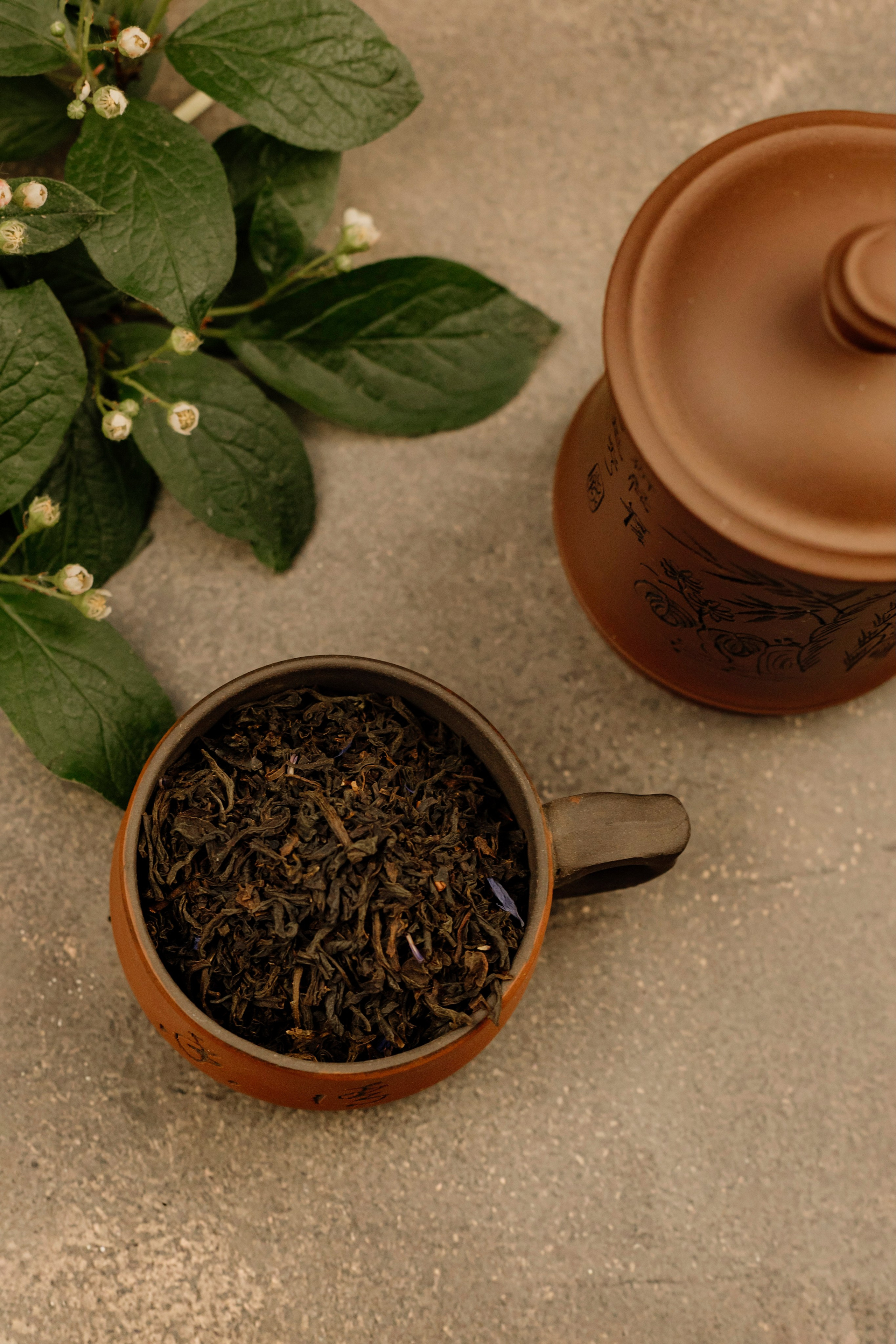 Чайный Дворик. Деловая и Бизнес съемка в  Москве Инесса Грушко