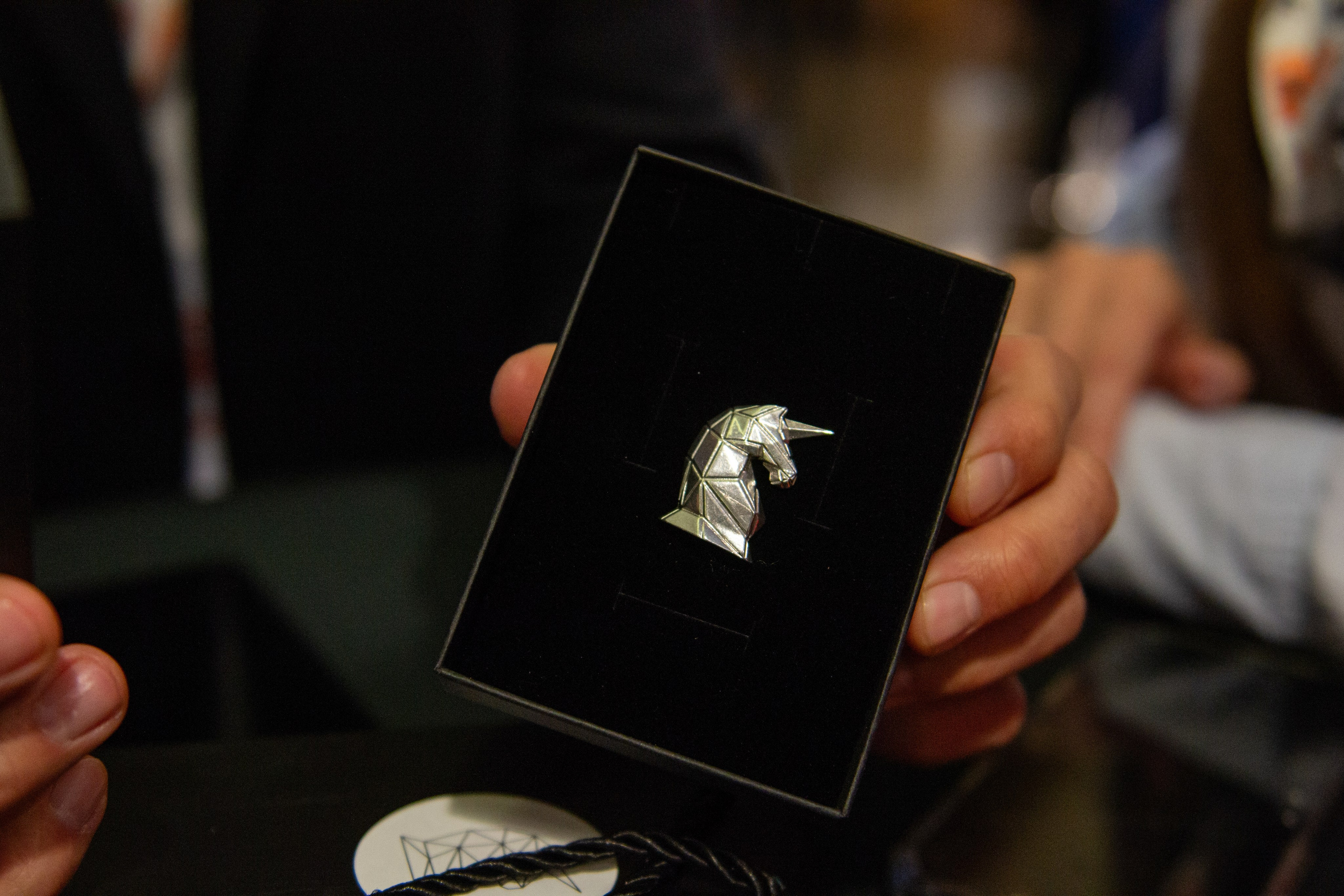 Тур Оскара Хартманна «Охота за единорогами». Дарья Терещук — репортажный фотограф в Минске