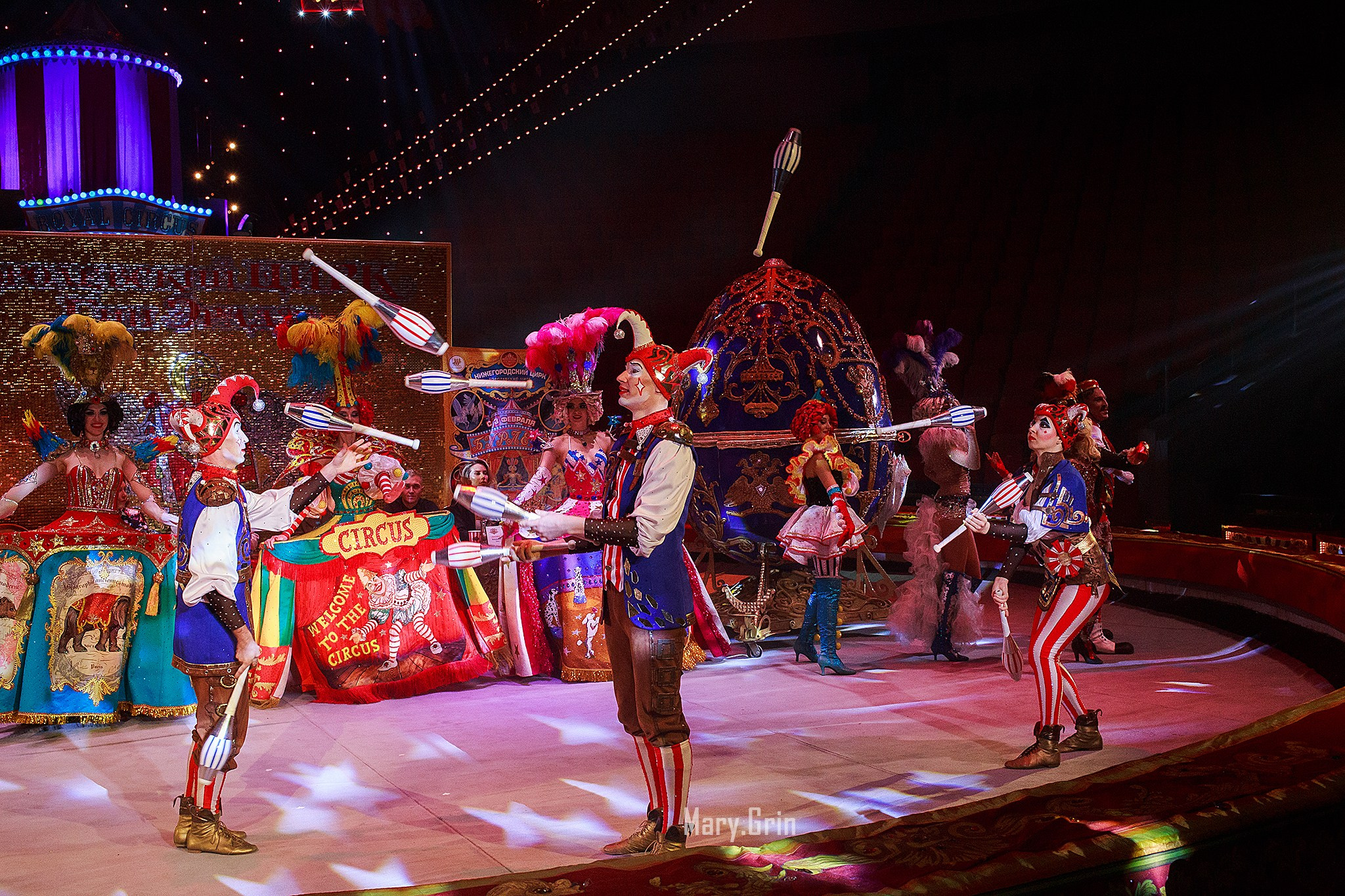Цирк Гии Эрадзе. Детский и семейный фотограф, фотограф мероприятий Нижний Новгород