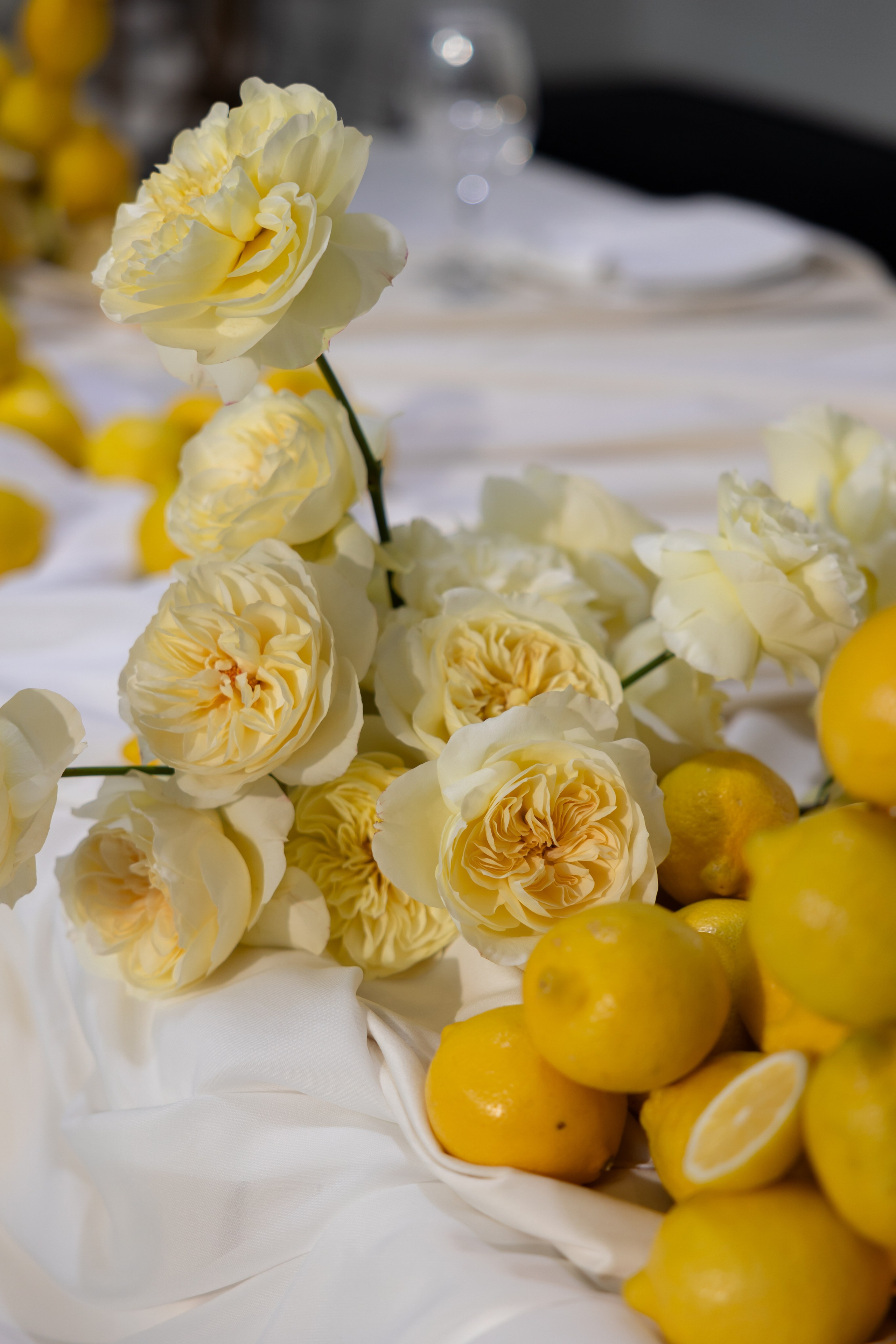 Александр & Алина. Обо мне