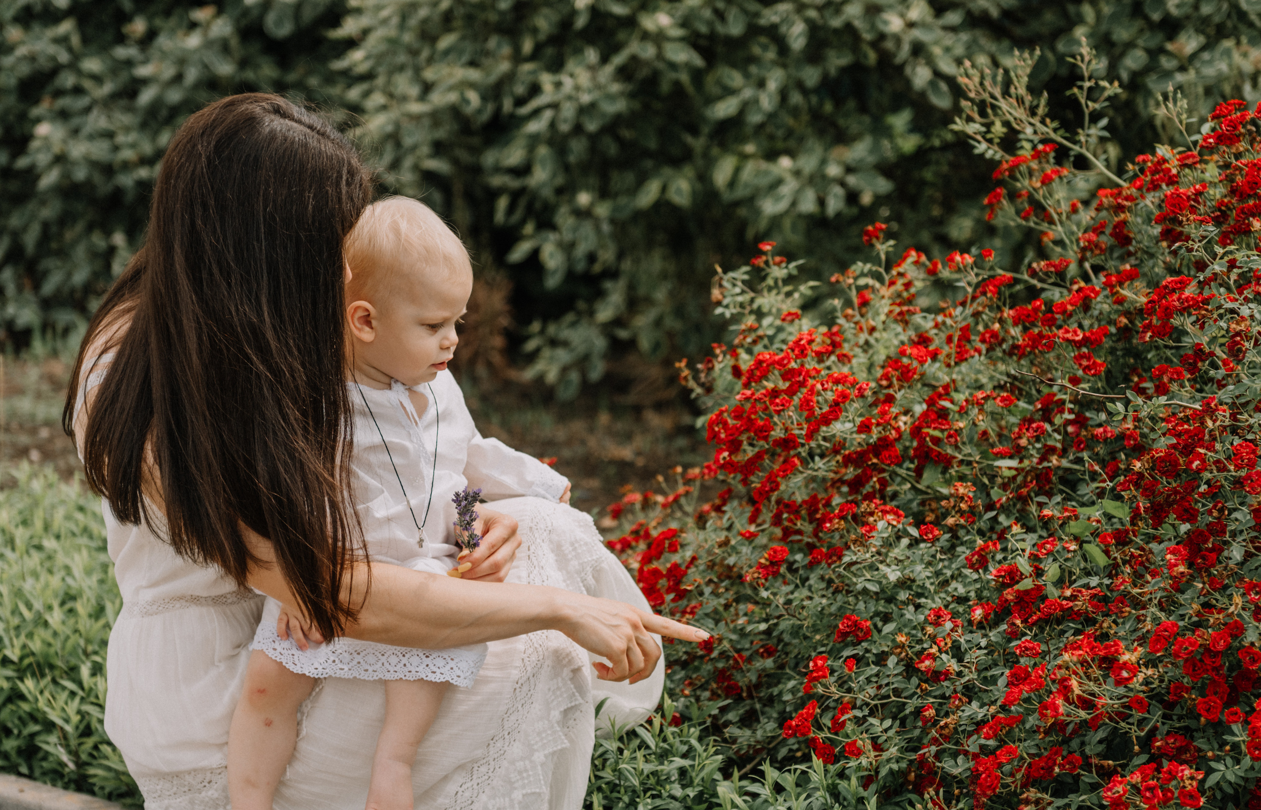 Крещение. Главная