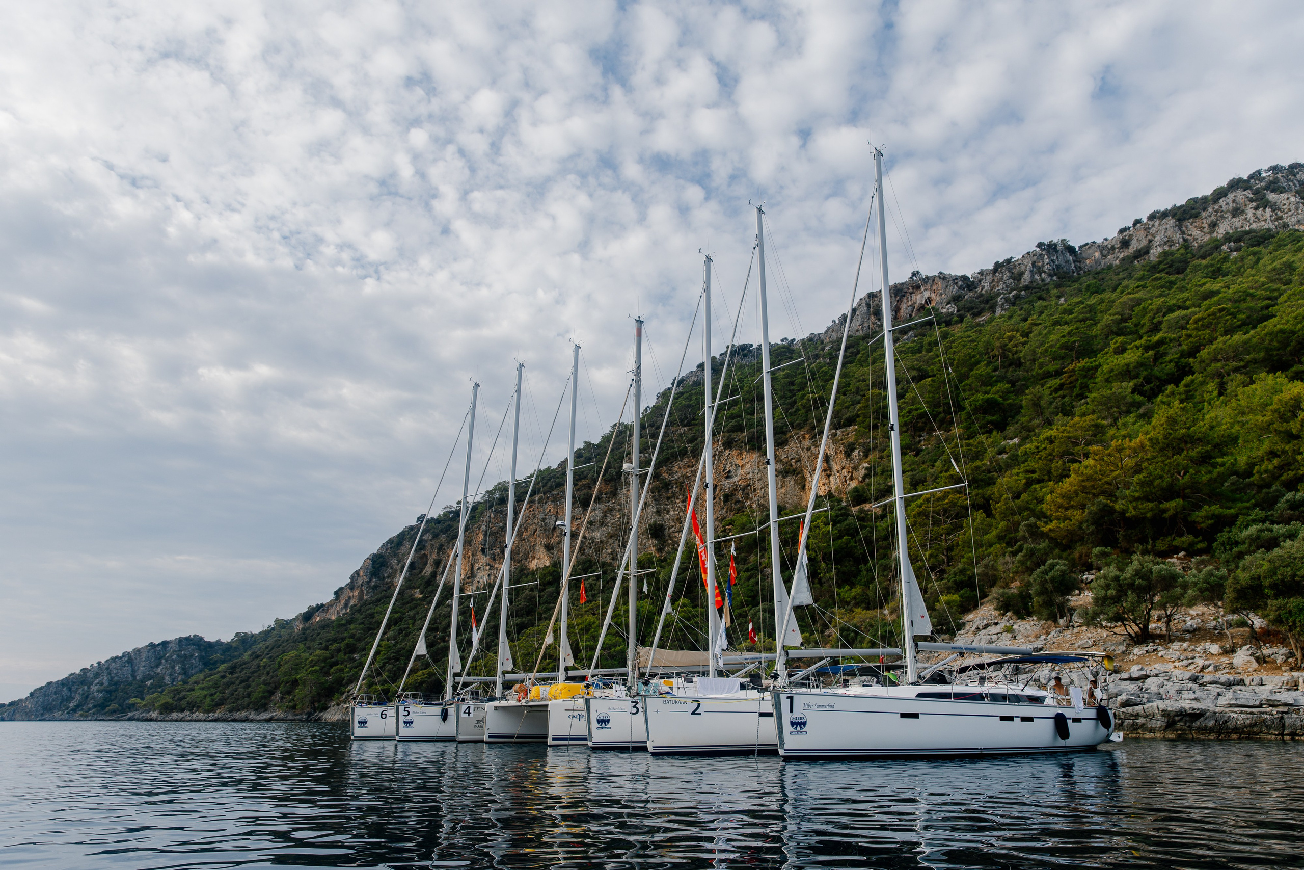 Фармрегата. Свадебный фотограф Москва Анна Шилова