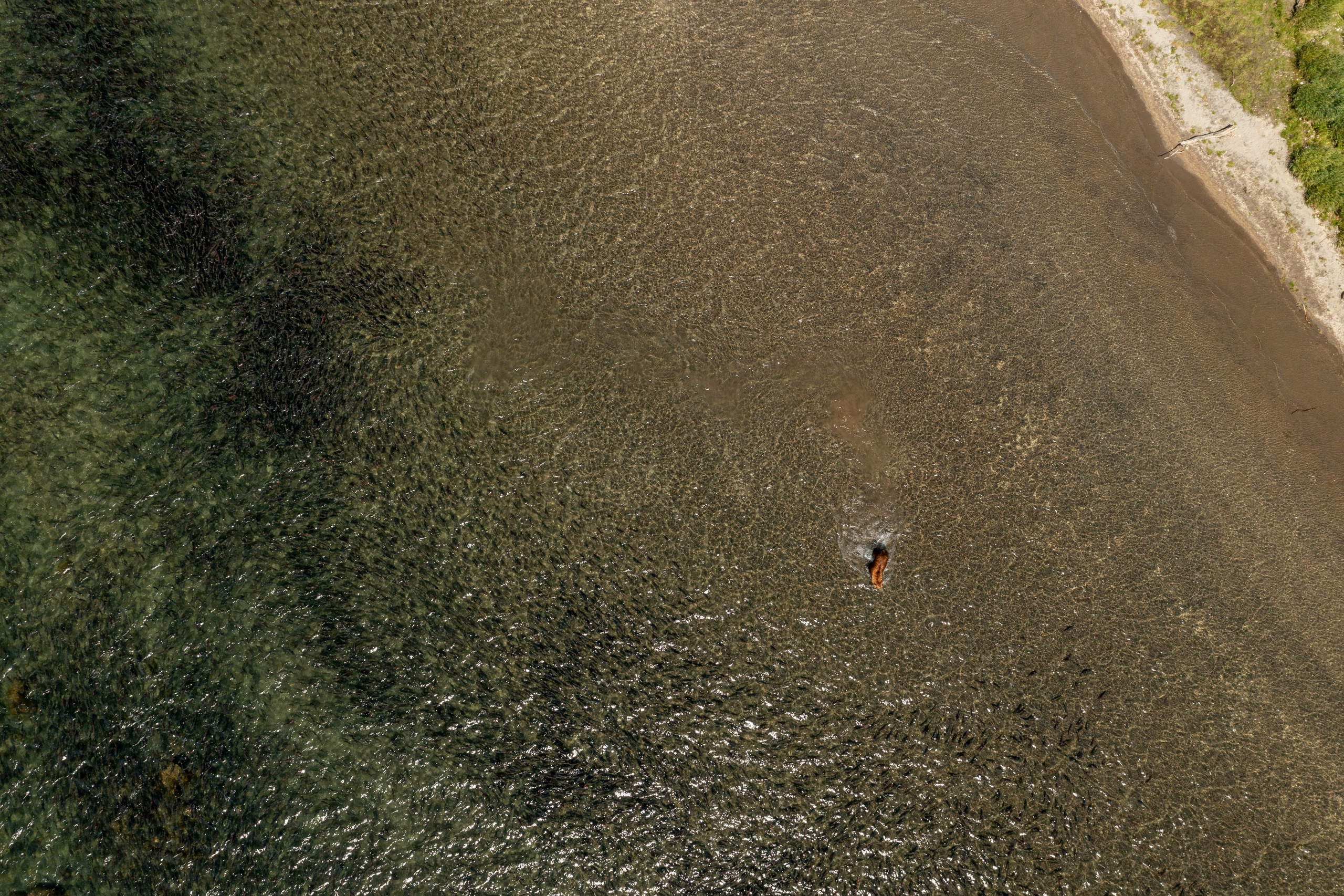 Вертолётные туры по Камчатке — лучшие локации за один день. Время Камчатки: чтобы найти свой путь, нужно скорость умножить на время