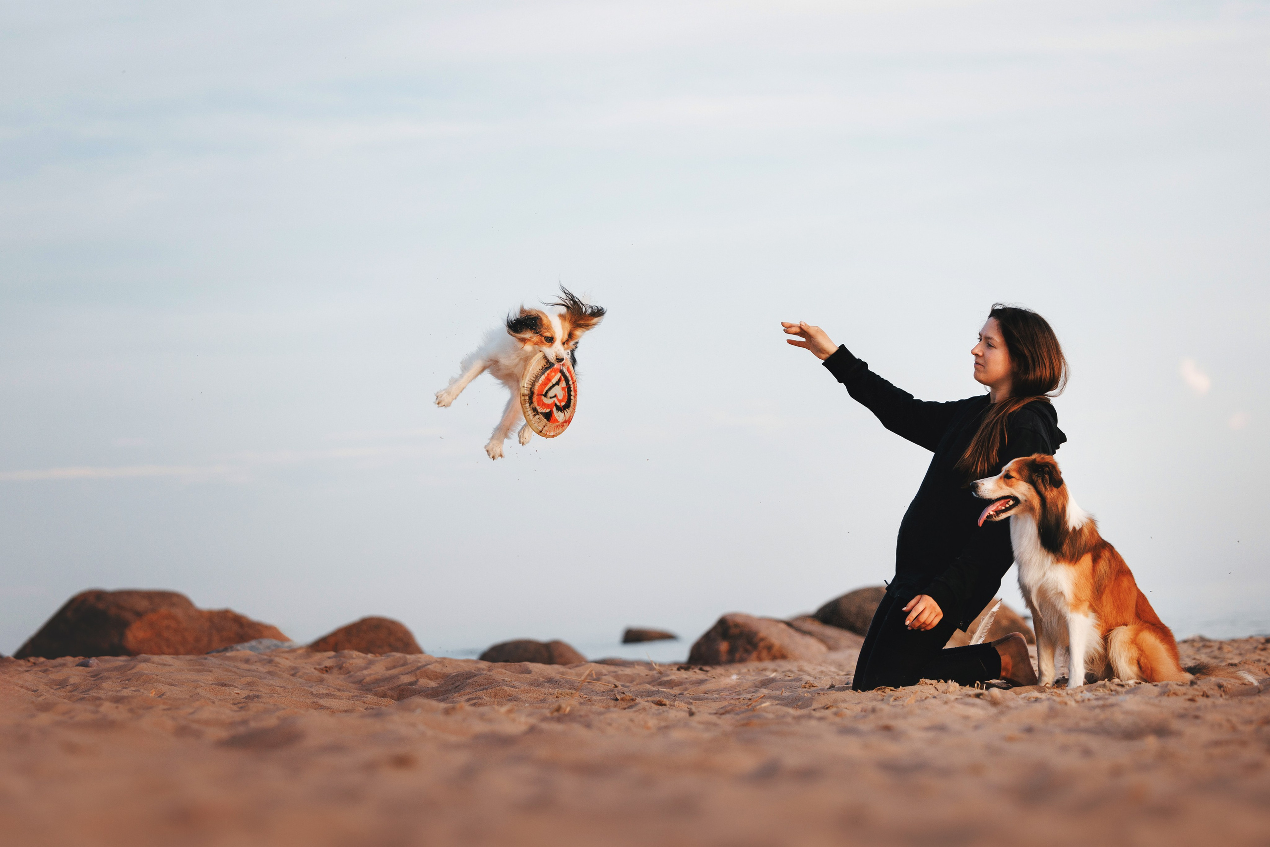 Рита, Маша и много собак. Фотограф анималист Осипчикова Мария