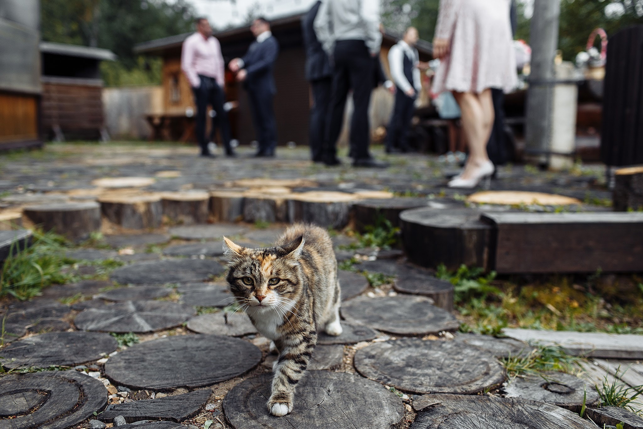 Свадьа в деревне A la Russe. Фотограф Игорь Цаплин