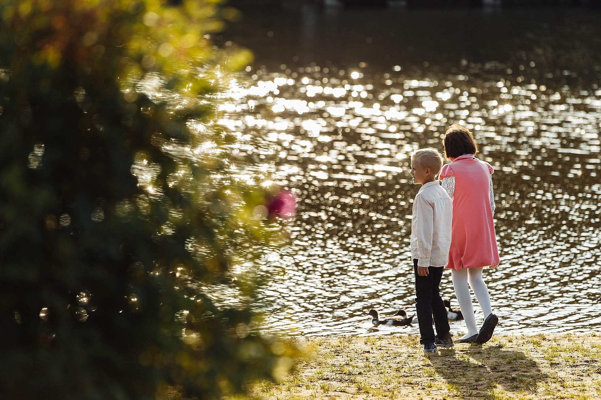 Свадьа в деревне A la Russe. Фотограф Игорь Цаплин