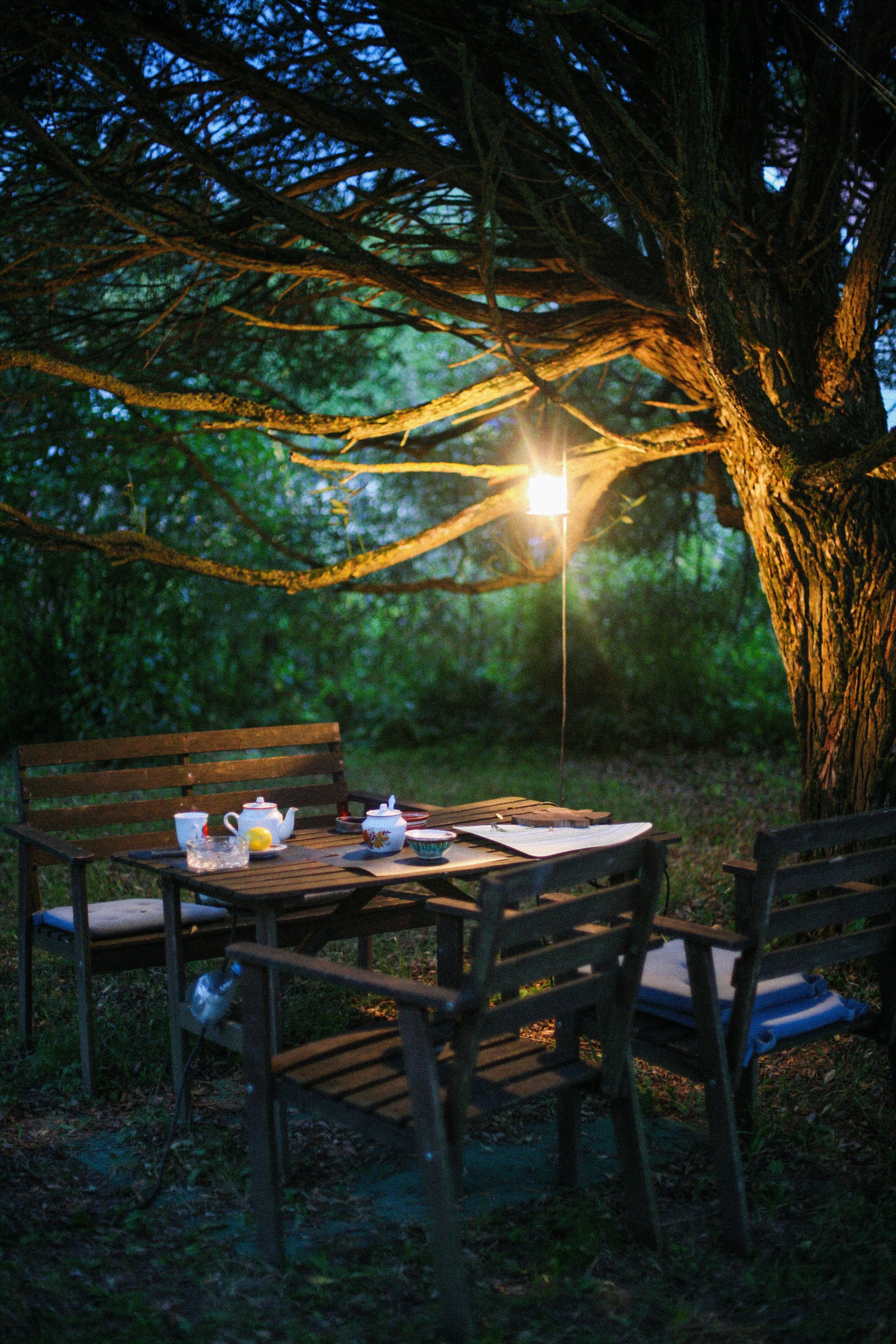 Три поколения. Фотограф Екатерина Максимова: семейные, индивидуальные съемки, свадьбы