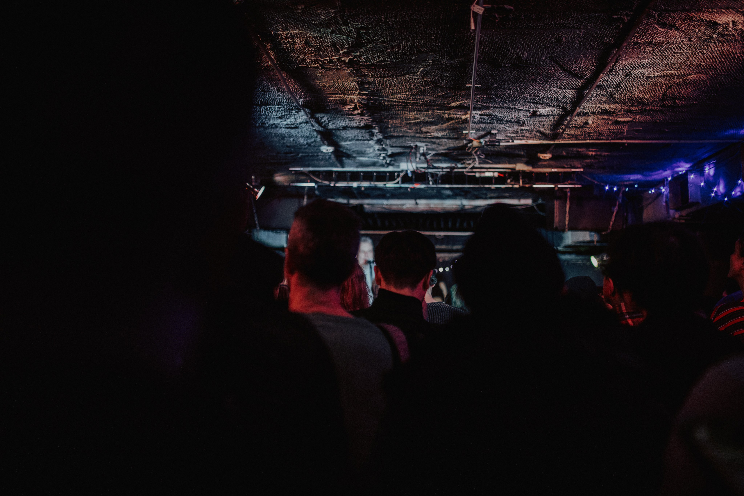 ФИРМЕННЫЙ ФЕСТ. Фотограф Елена Богачева (lenalena_na_na_na)