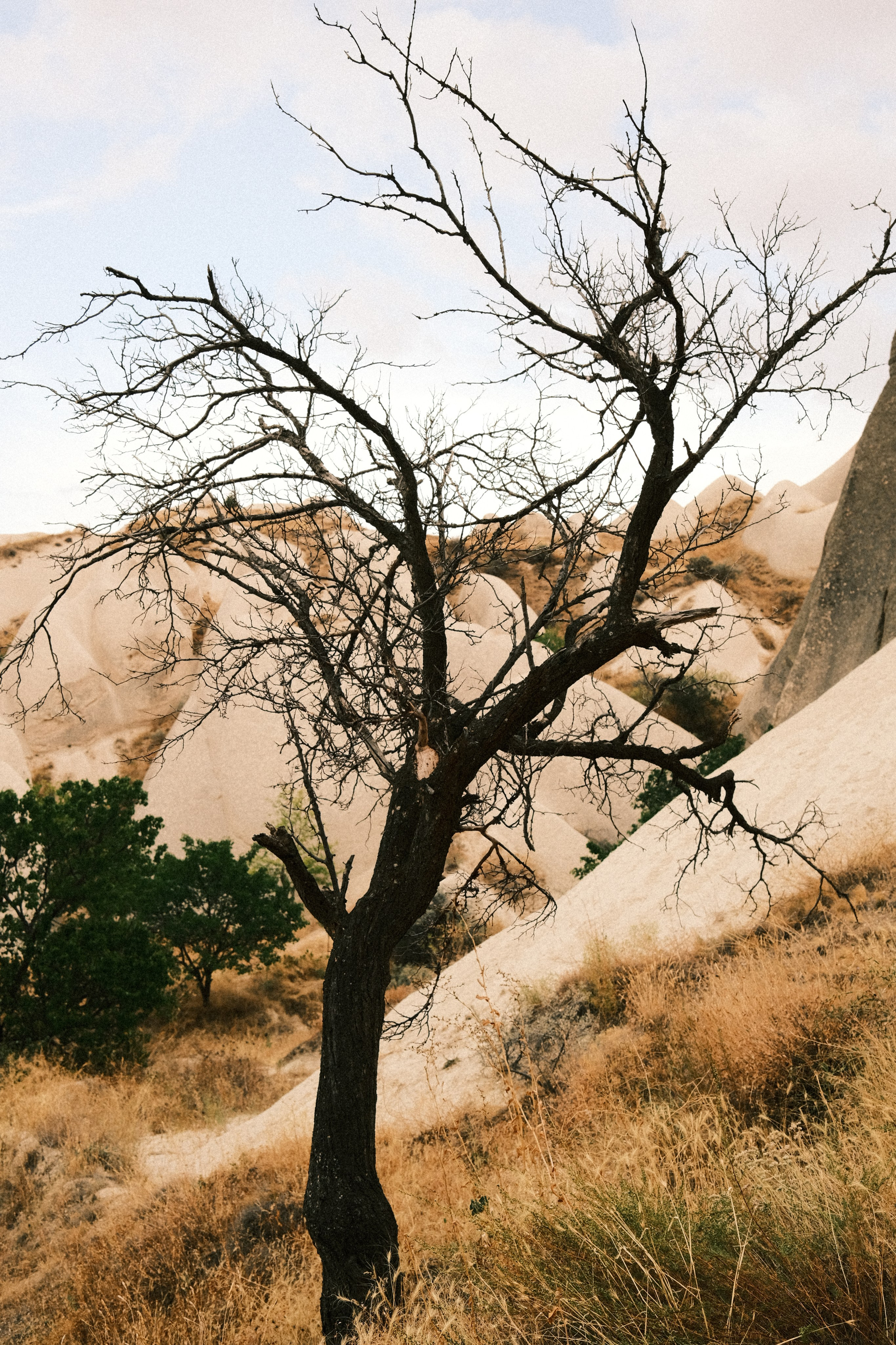 Молчание. Портретный фотограф