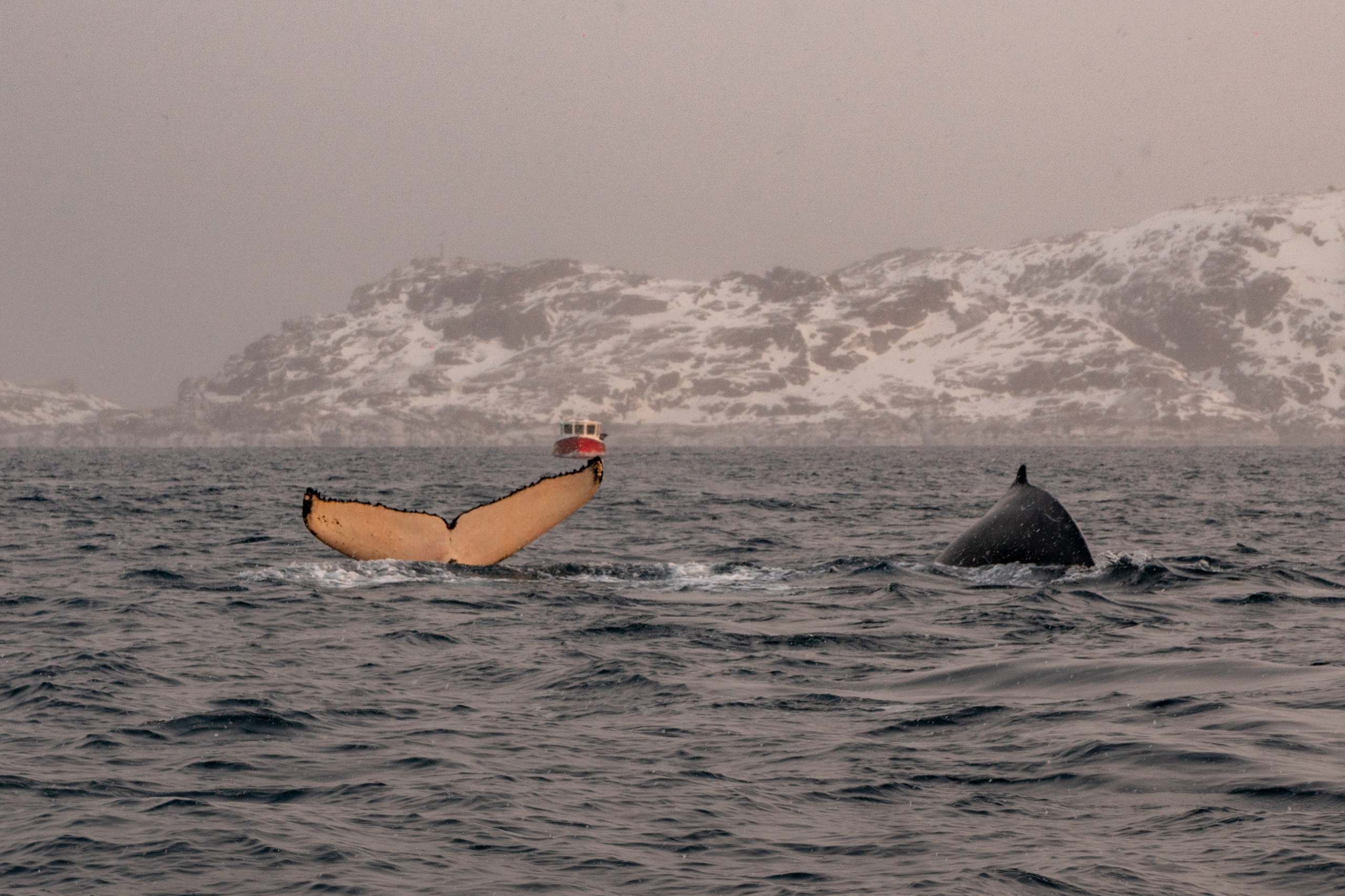 Зима на Кольском полуострове. Daria wanderer photography