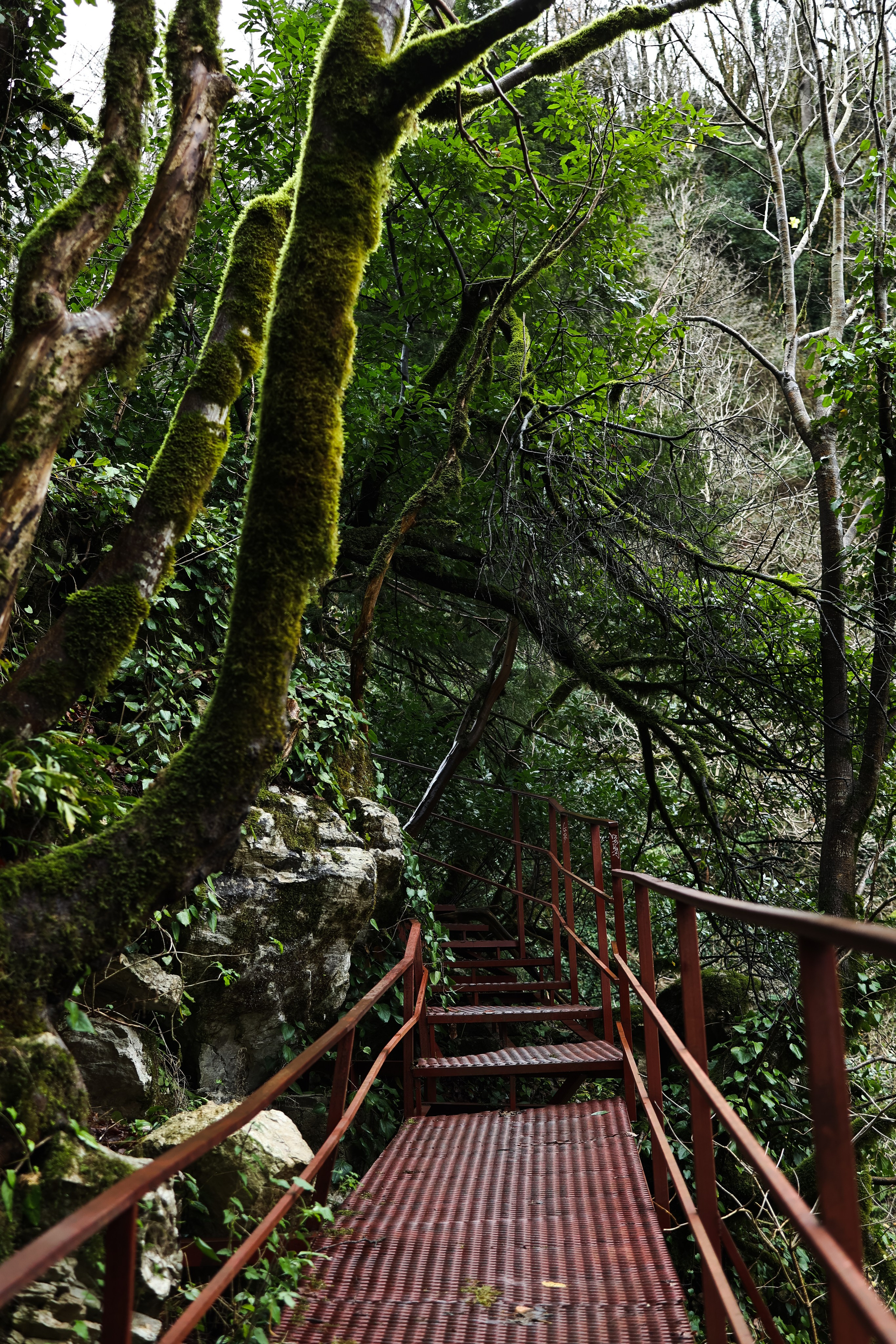 Сочи в декабре. Портретный фотограф в Санкт-Петербурге