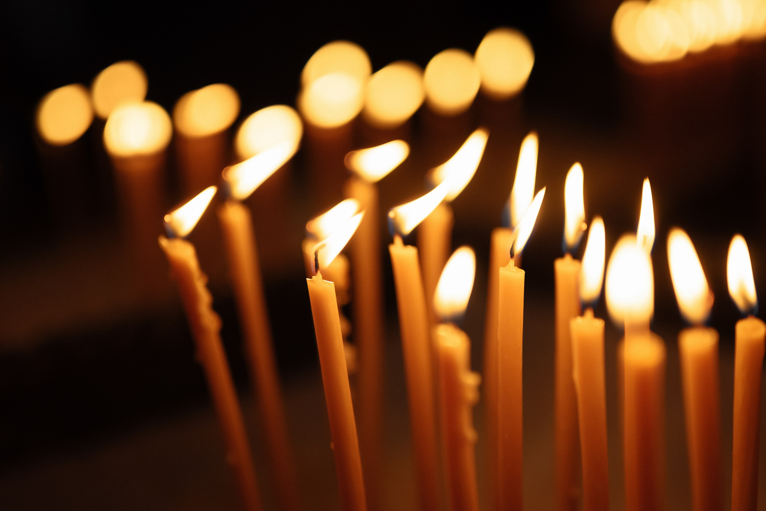 Артур & Нара. Фотограф в Краснодарском крае Александр Шульга