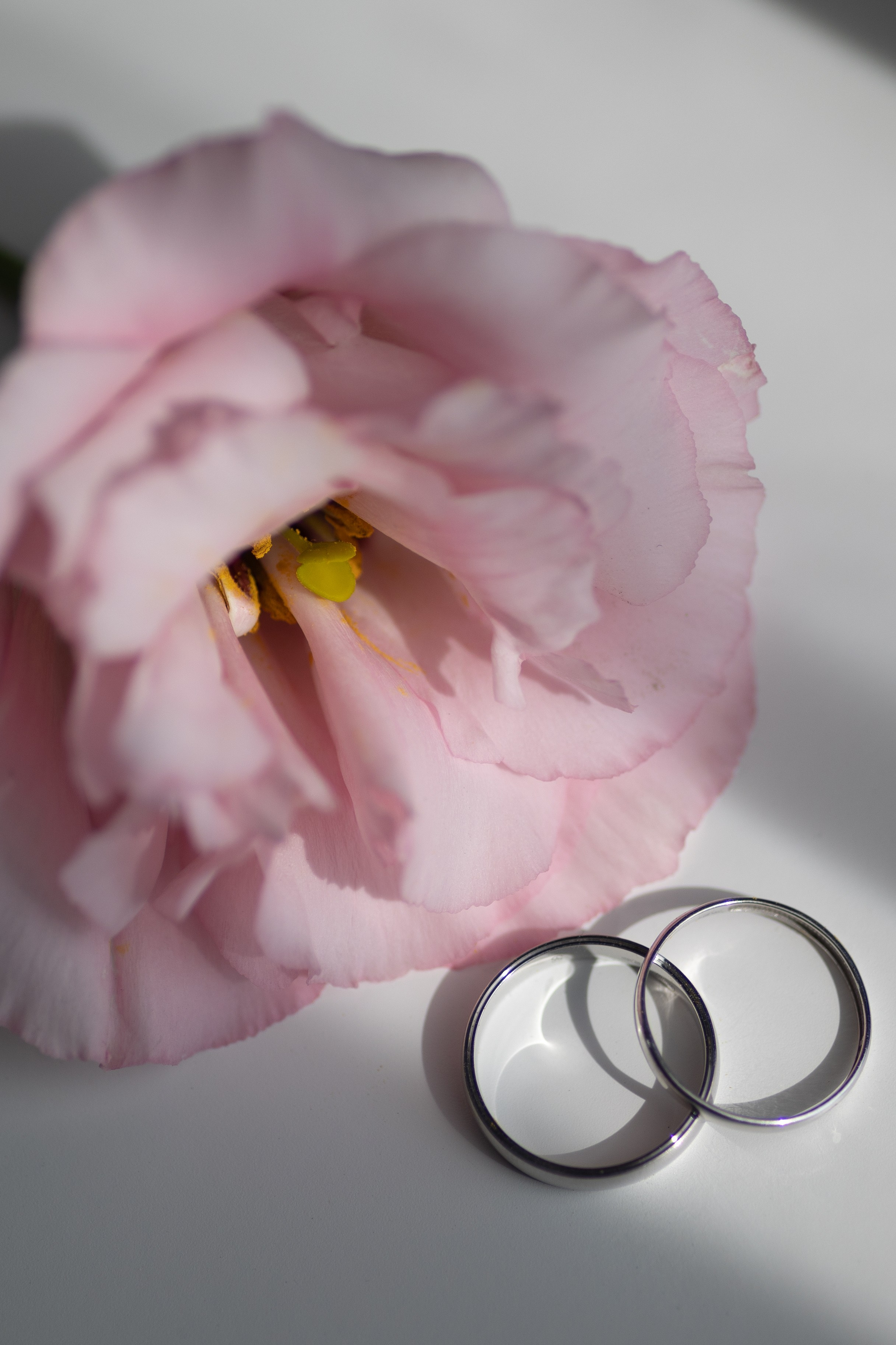 Свадебный фотограф в Ростове-на-Дону Лилия Паккерт