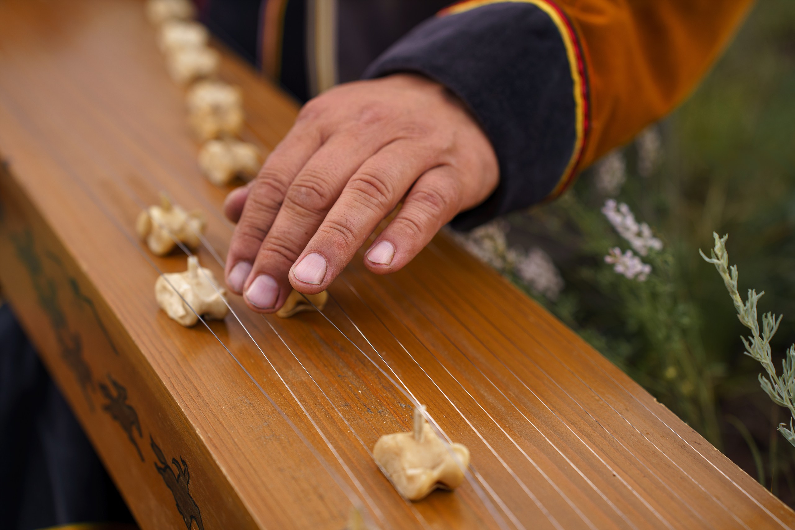 Струны степи. Фотограф в Красноярске Нерозя Александр. Пейзаж, природа, портрет