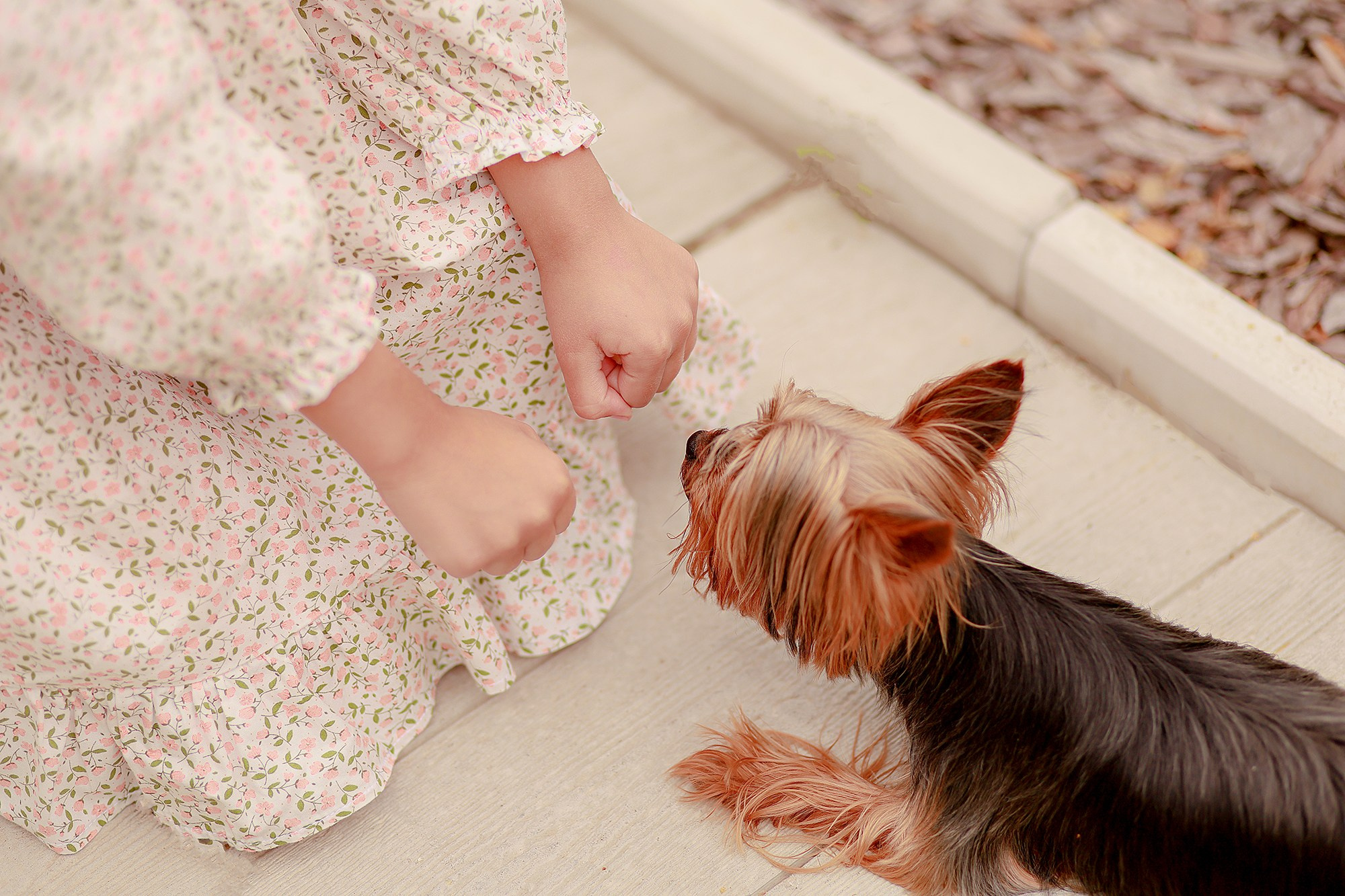 С любимым питомцем. Фотографирую в парке-заповеднике «Купидон»