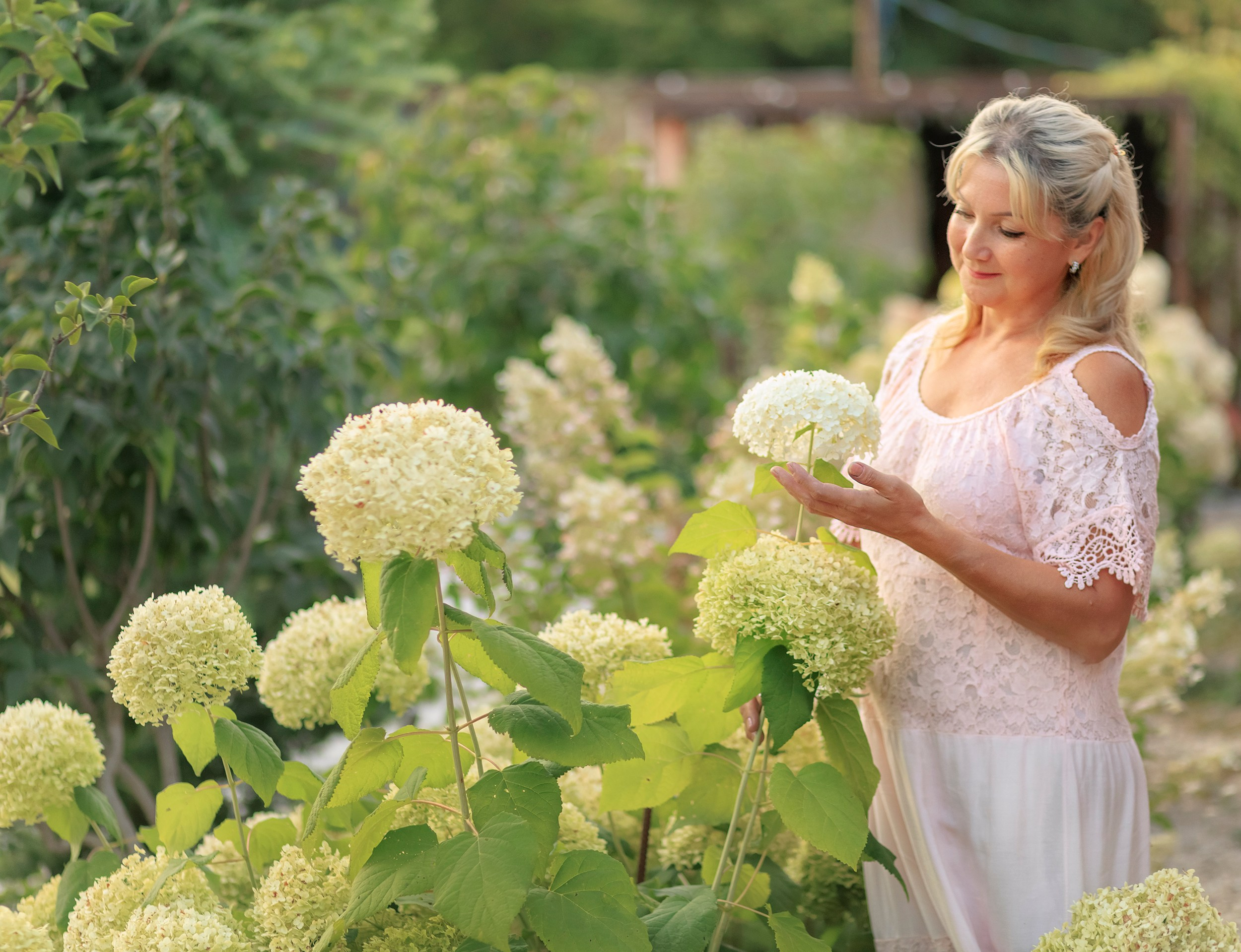 Цветочные истории. Фотографирую в парке-заповеднике «Купидон»