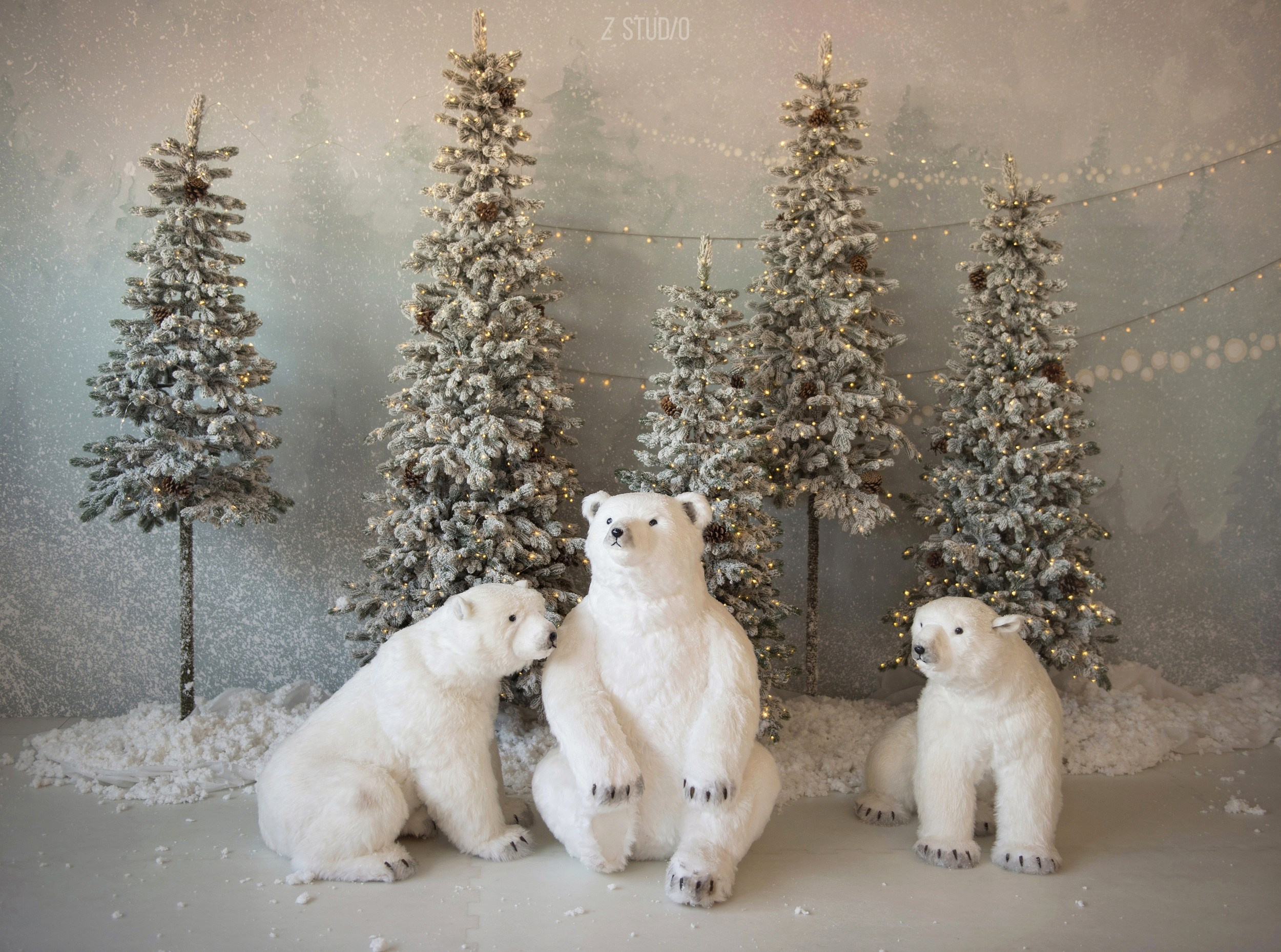 Новогодняя фотосессия в Новосибирске. Фотограф Универсал в Новосибирске