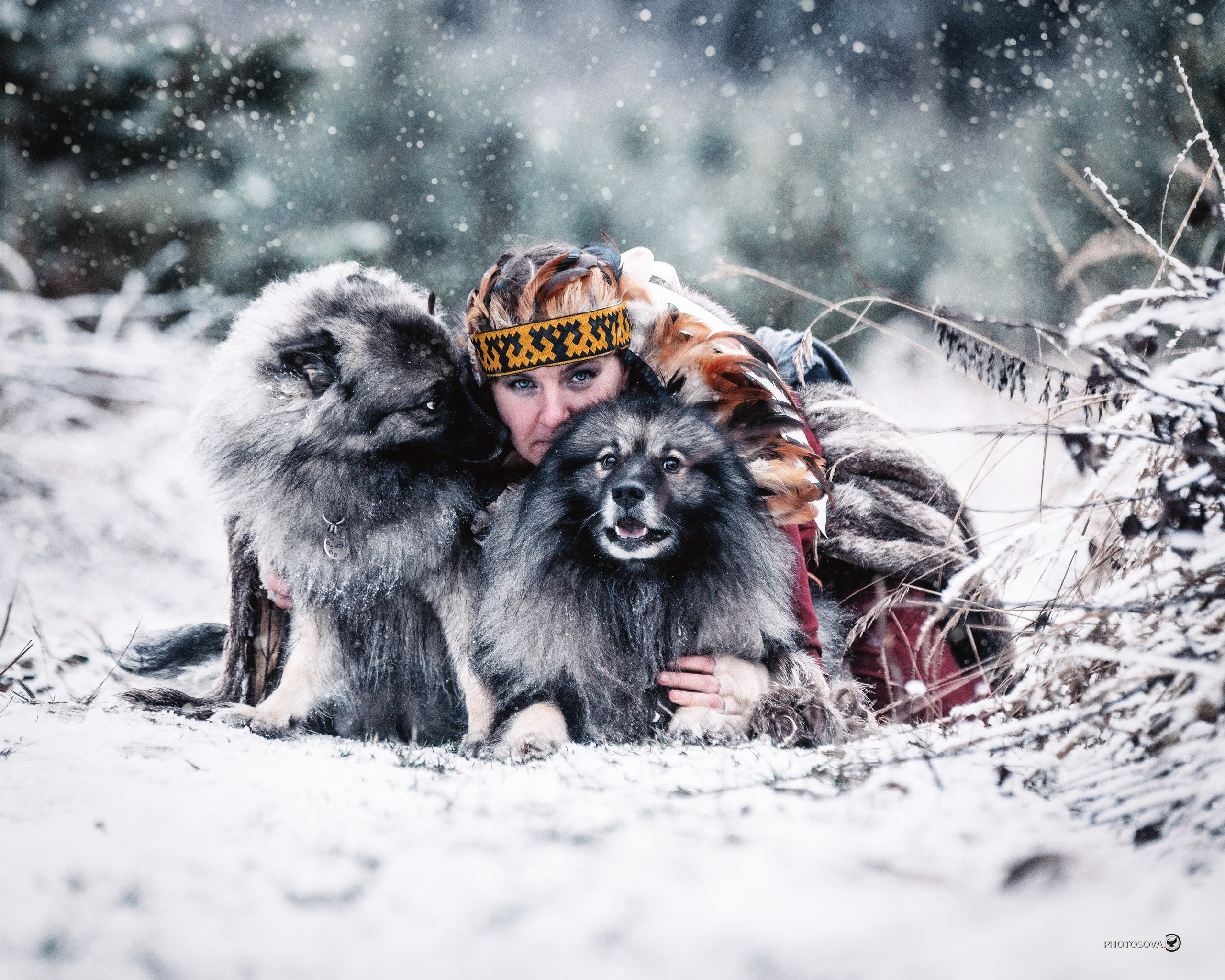 ФОТОПАМЯТЬ ВАШИХ ЭМОЦИЙ. Фотограф-анималист, семейный фотограф в Москве и Подмосковье. Фотосъёмка кинологических дисциплин