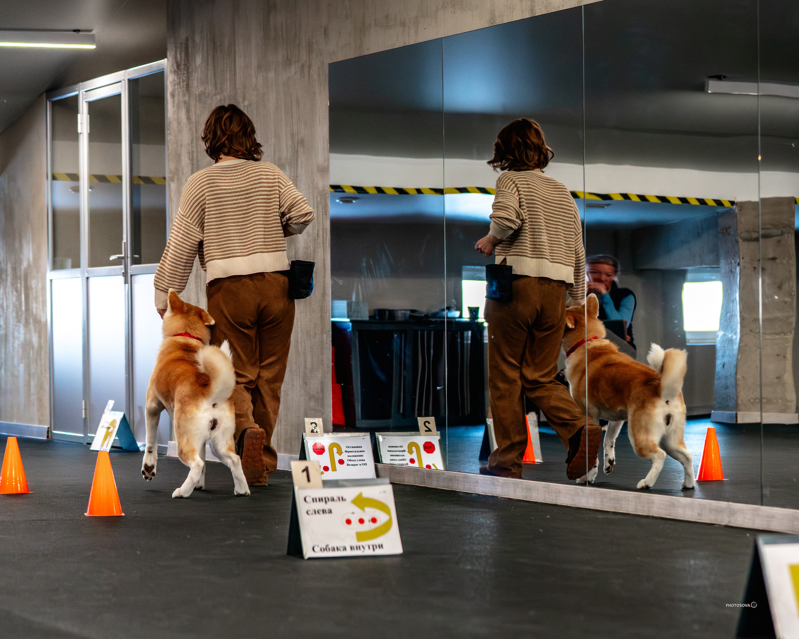 ТЫ И Я (соревнования по ралли-обидиенс). Фотограф-анималист, семейный фотограф в Москве и Подмосковье. Фотосъёмка кинологических дисциплин