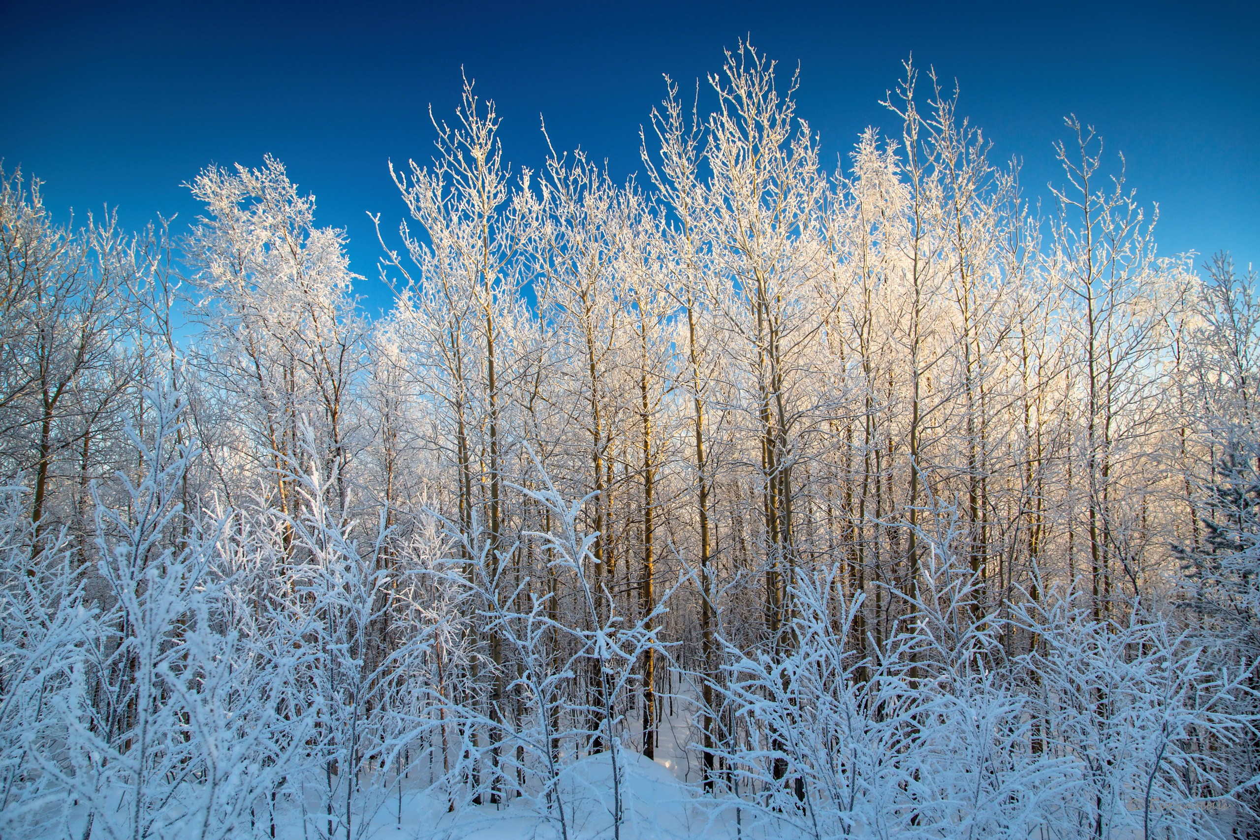 Зима. Пейзажи Крайнего Севера. Баренцево море, Рыбачий, Средний, Немецкий