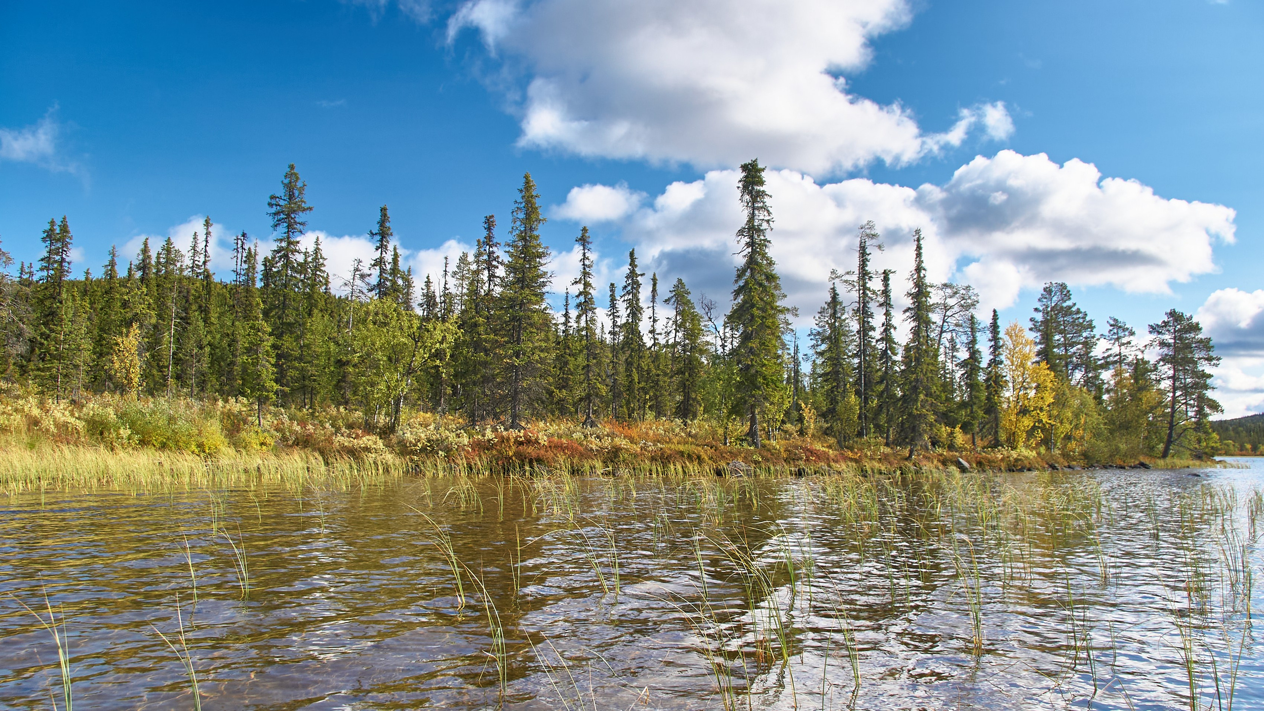 Водоемы. Пейзажи Крайнего Севера. Баренцево море, Рыбачий, Средний, Немецкий