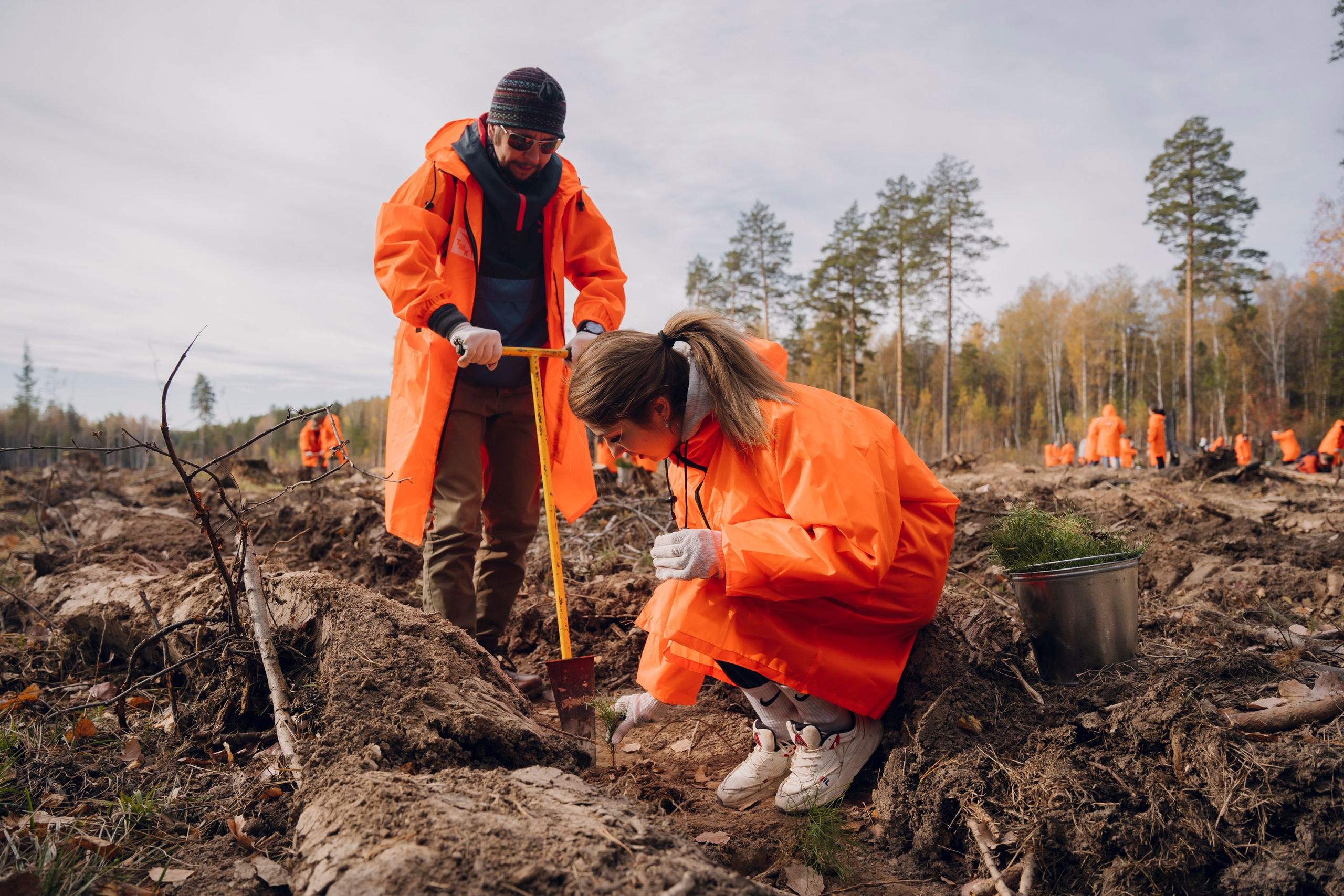 Дневные события. Geometria