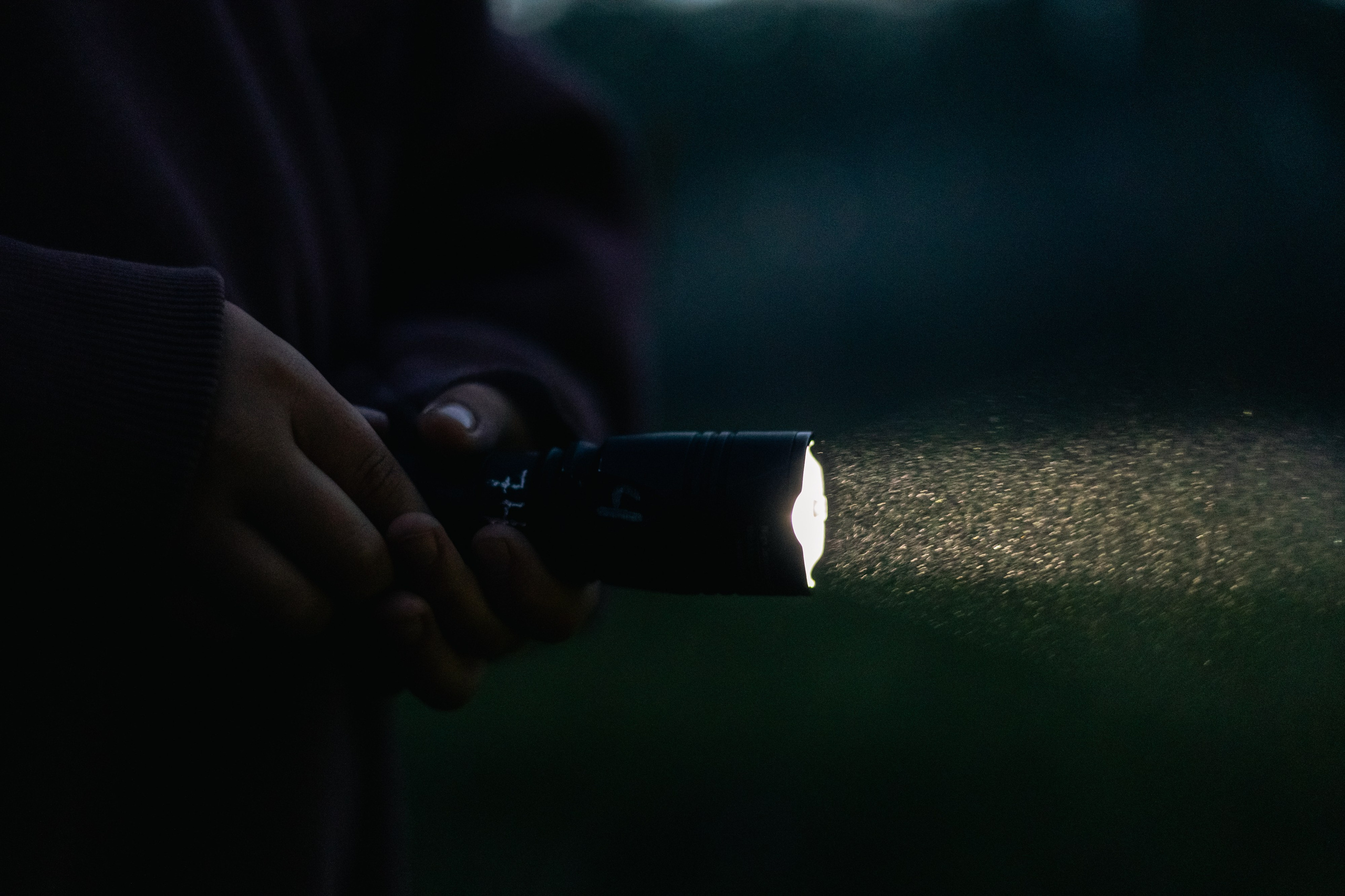 VI ОТКРЫТЫЕ КИНОЛОГИЧЕСКИЕ СОРЕВНОВАНИЯ. ЧЕЛЯБИНСКАЯ ОБЛАСТЬ 2025. Репортажный фотограф Наталья Лапцевич