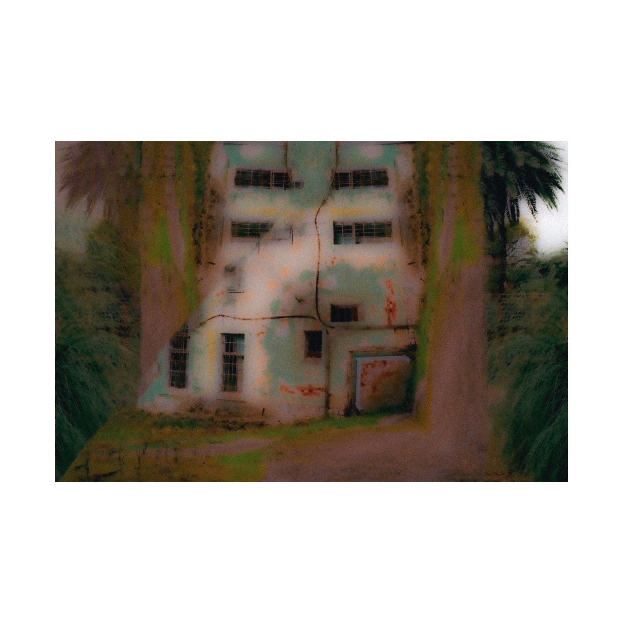 THE BUILDINGS. Визуальный артист Наташа Солнцева