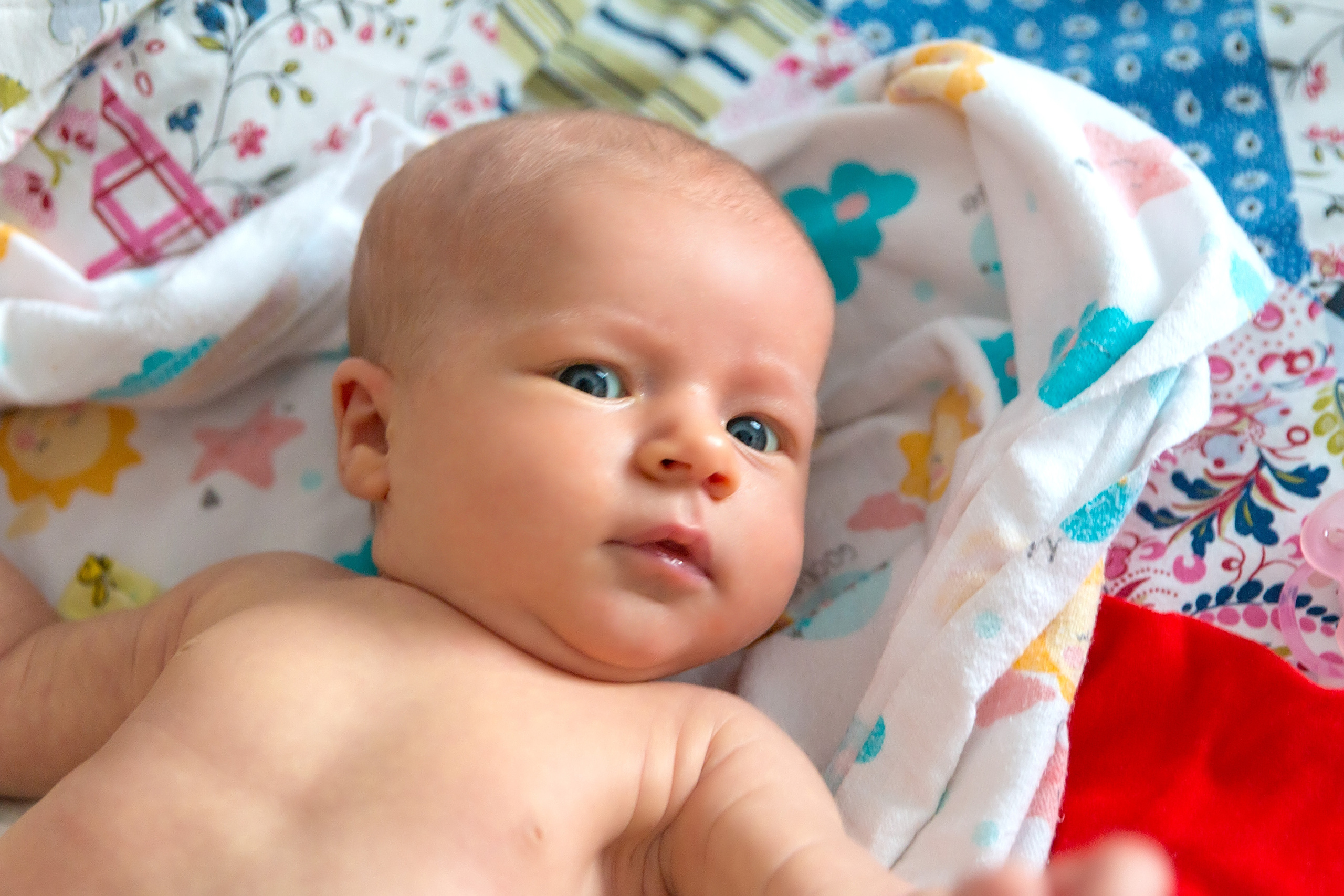 Маленькая Дашенька. Семейный и детский фотограф в Москве Екатерина Лебедева